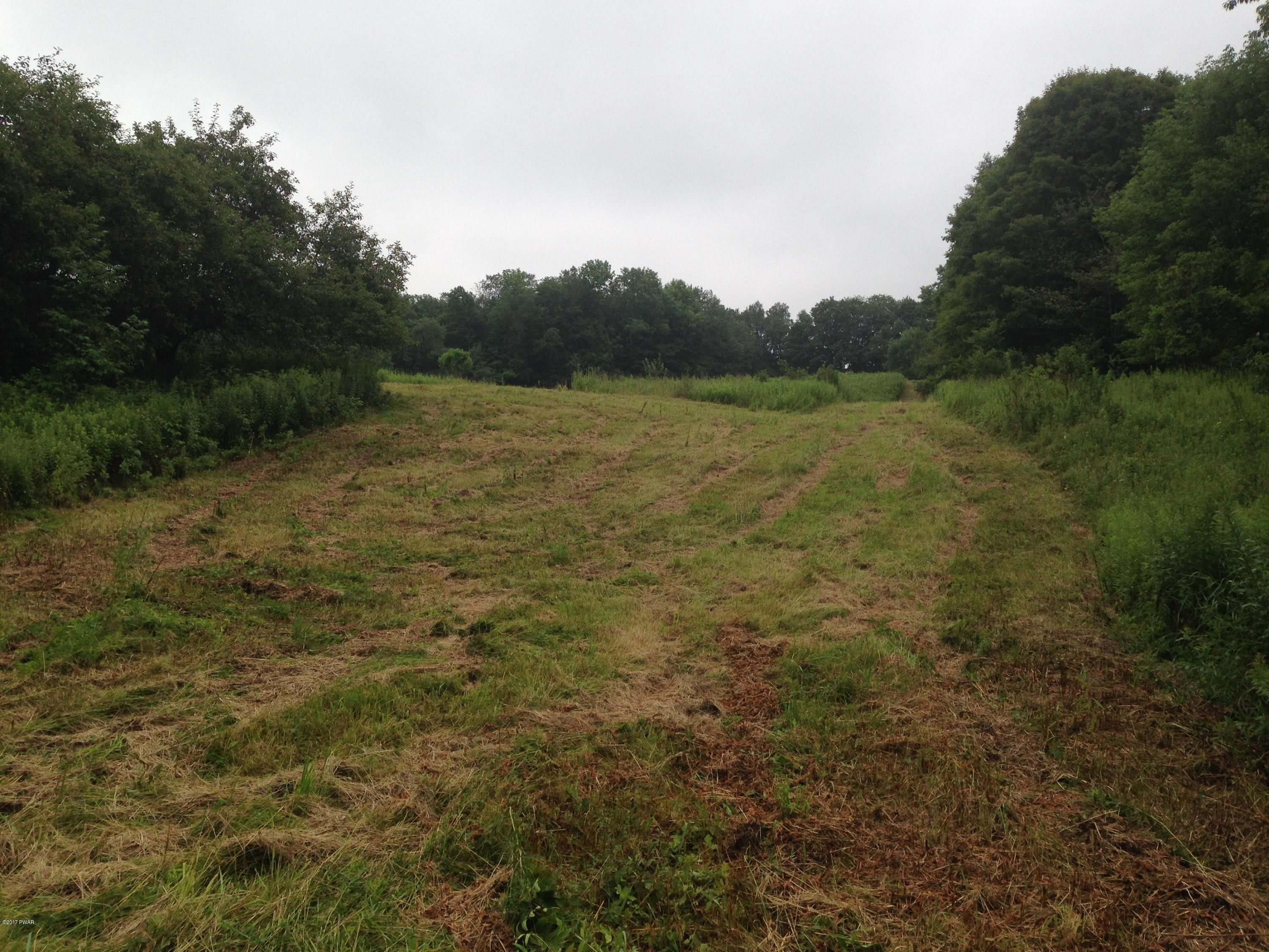 Preston Park, Wayne County, PA Undeveloped Land for sale Property ID