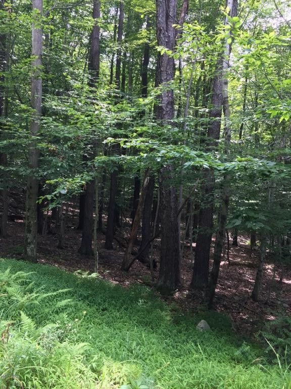 Greentown, Pike County, PA Undeveloped Land, Lakefront Property, Waterfront Property, Homesites