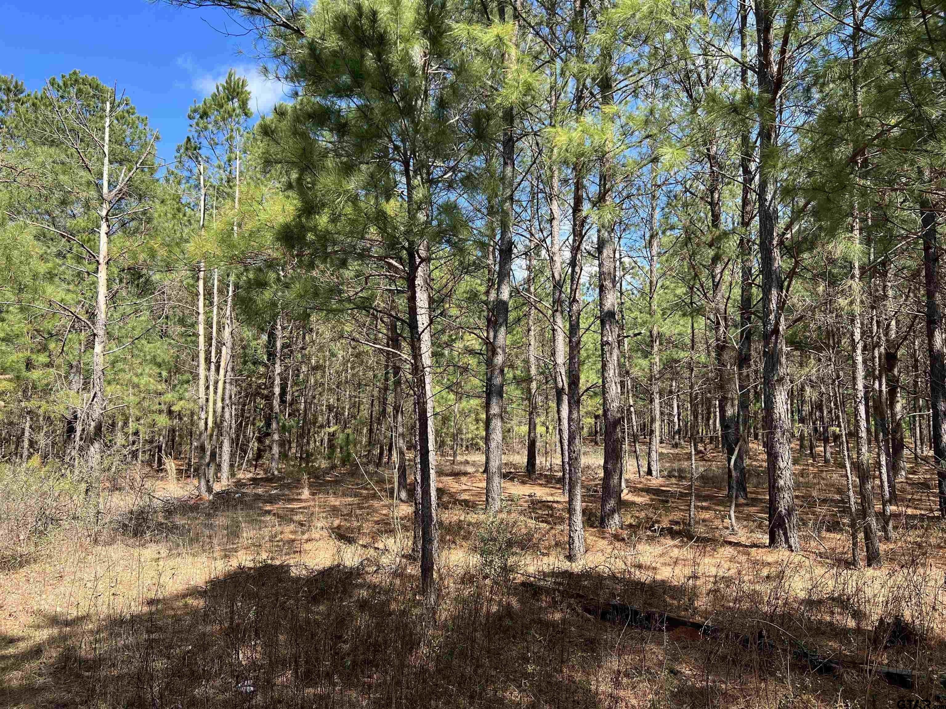 Jacksonville, Cherokee County, TX Farms and Ranches for sale Property