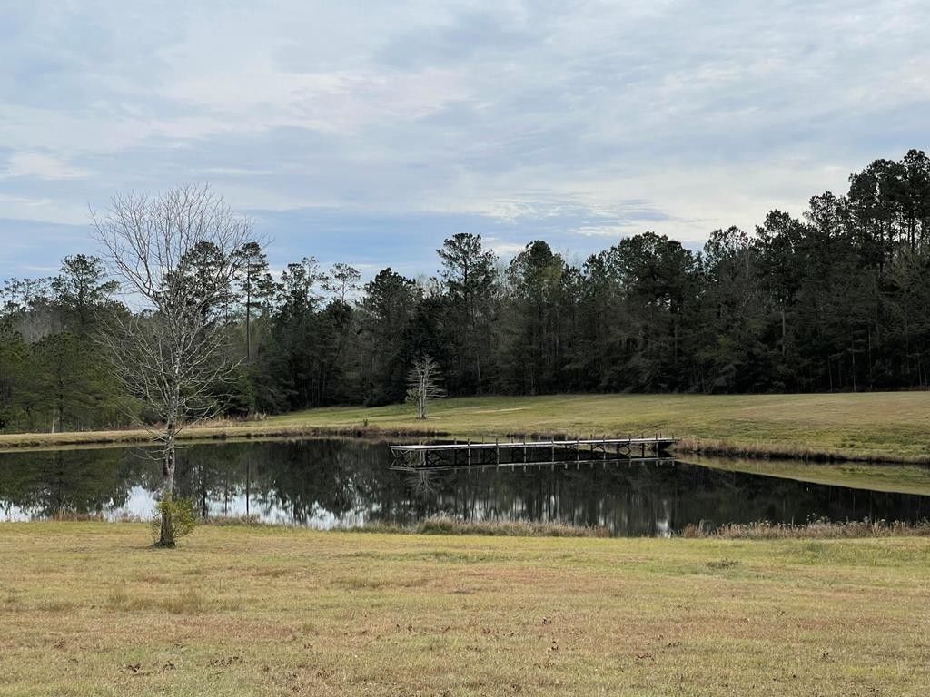 Carriere, Pearl River County, MS Undeveloped Land for sale Property ID