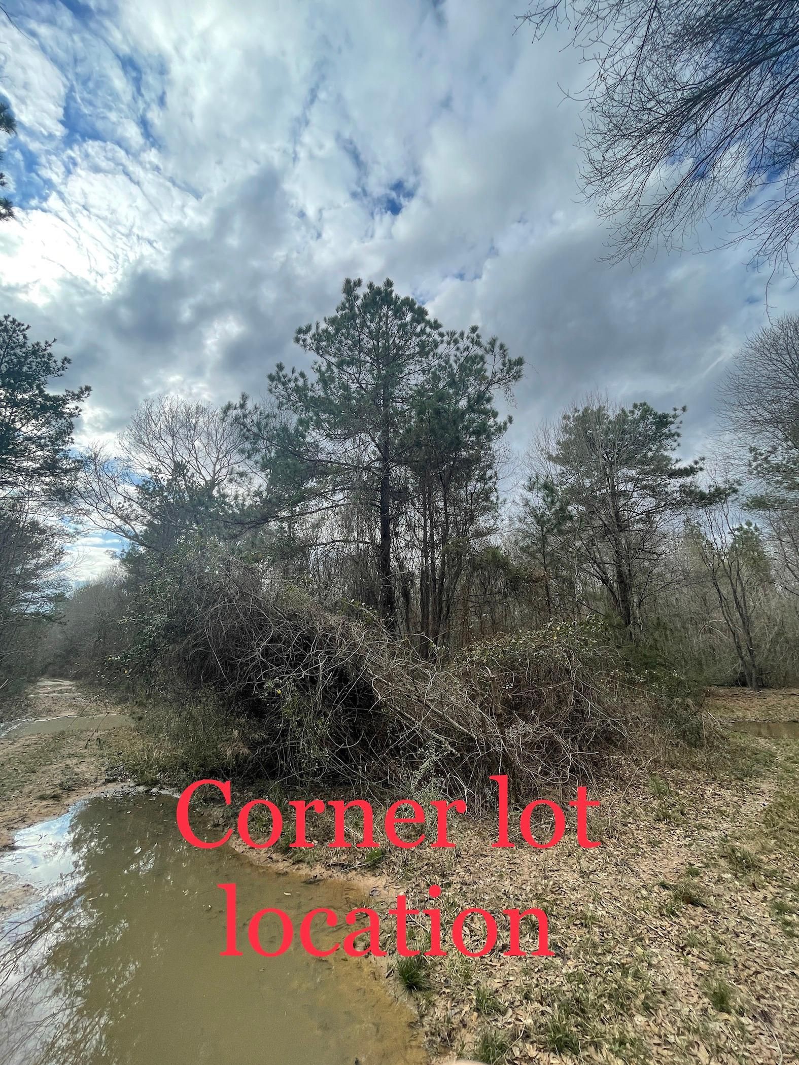 Roman Forest, Montgomery County, TX Recreational Property, Undeveloped
