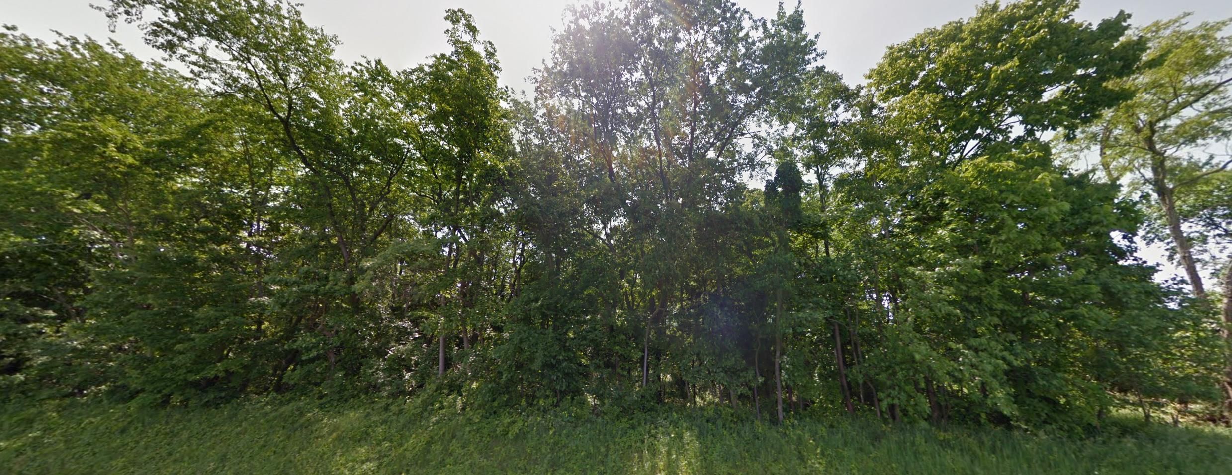 High View, Hampshire County, WV Recreational Property, Undeveloped Land, Homesites for sale