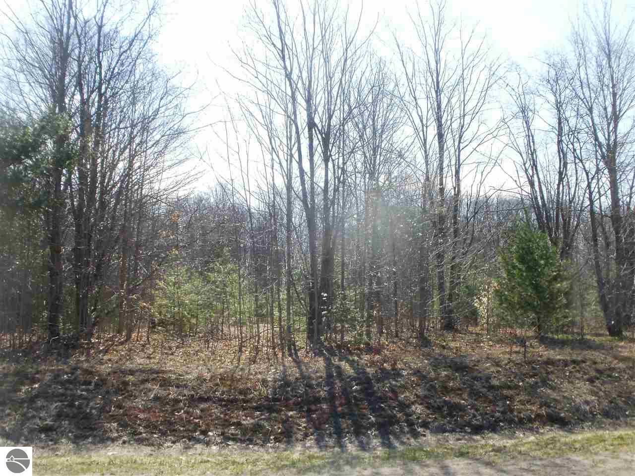 Cadillac, Wexford County, MI Undeveloped Land, Homesites for sale