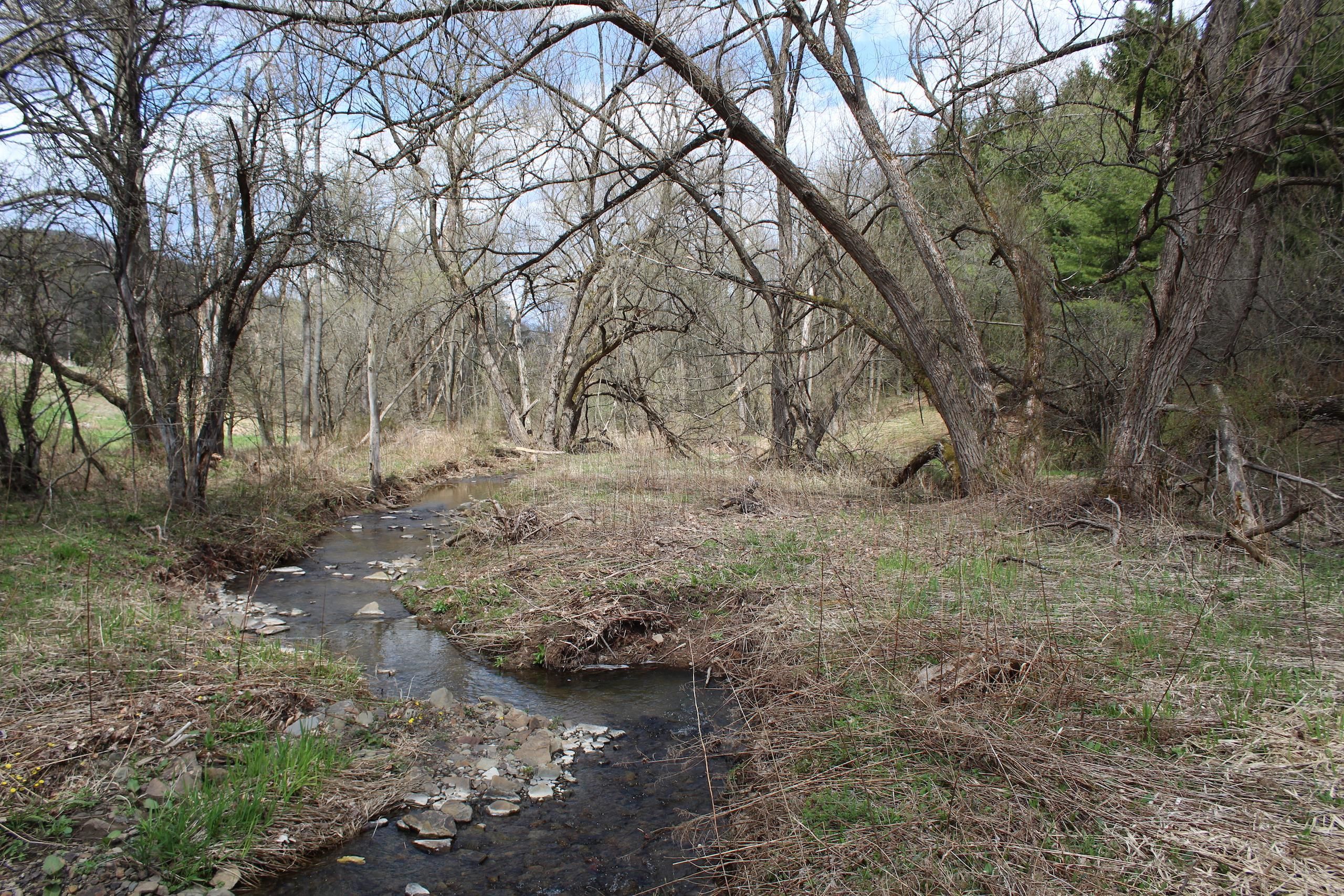 Knoxville, Tioga County, PA Recreational Property, Timberland Property