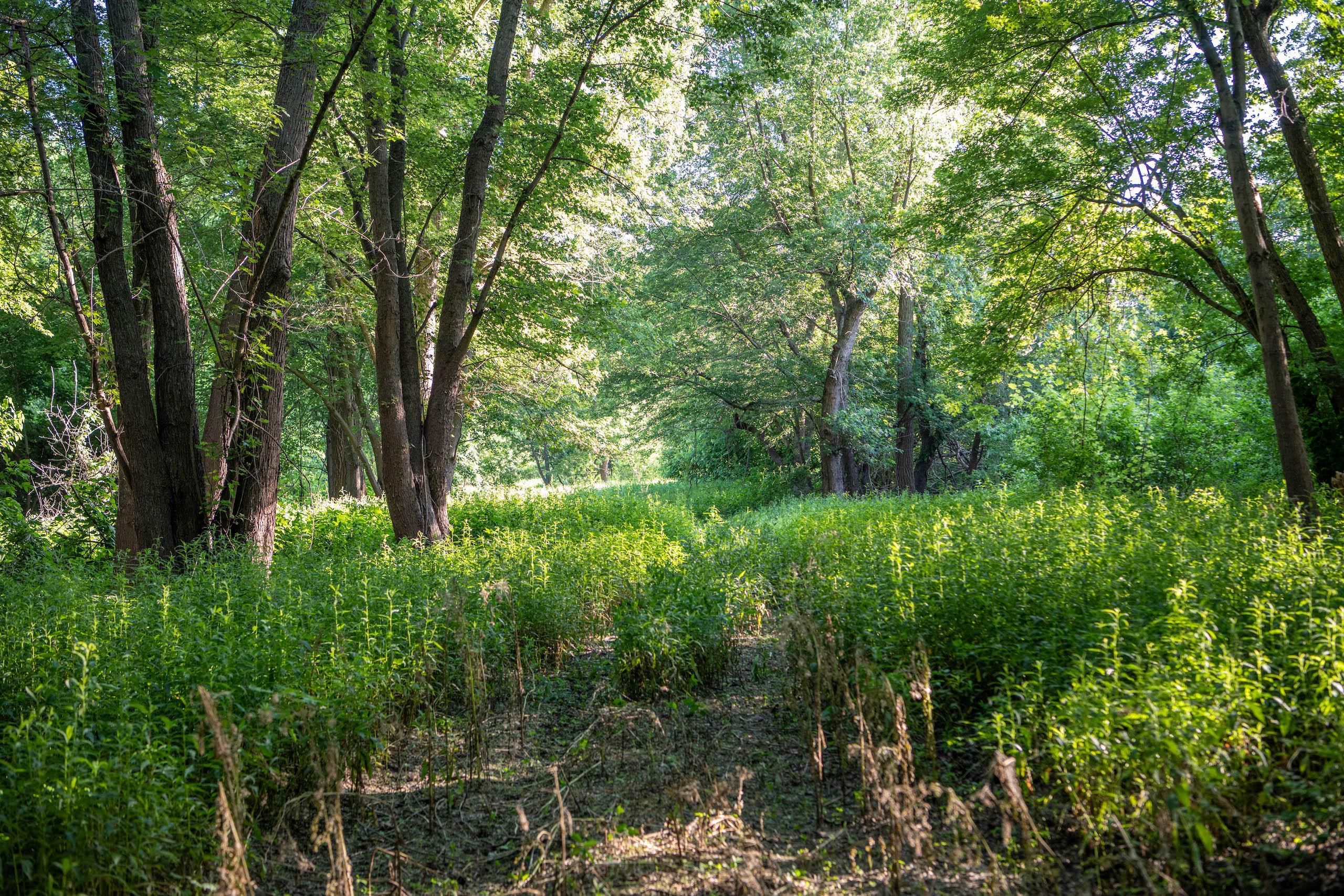 Chambersburg, Pike County, IL Recreational Property, Hunting Property