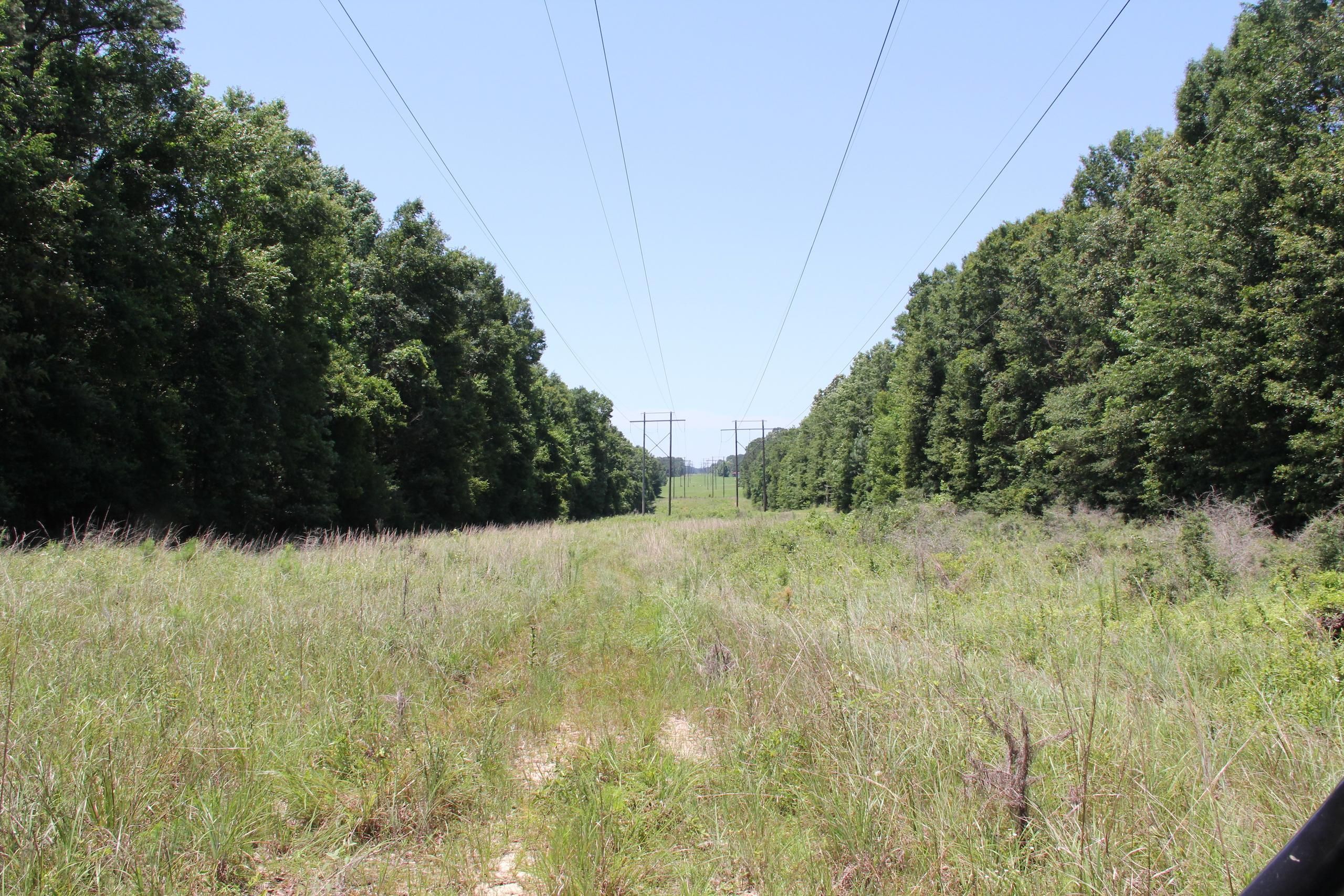 Liberty, Amite County, MS Recreational Property, Timberland Property
