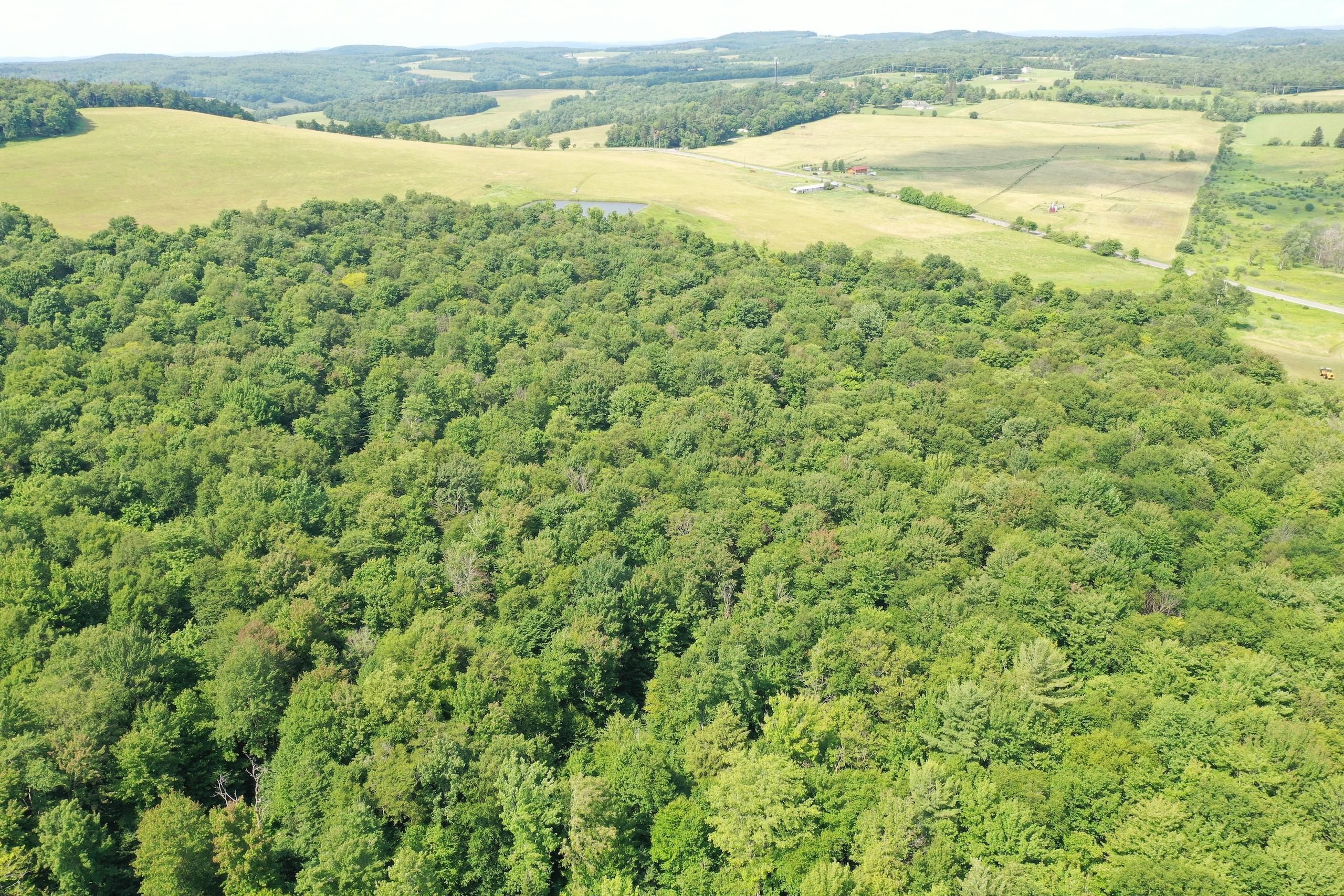 Meredith, Delaware County, NY Recreational Property, Timberland