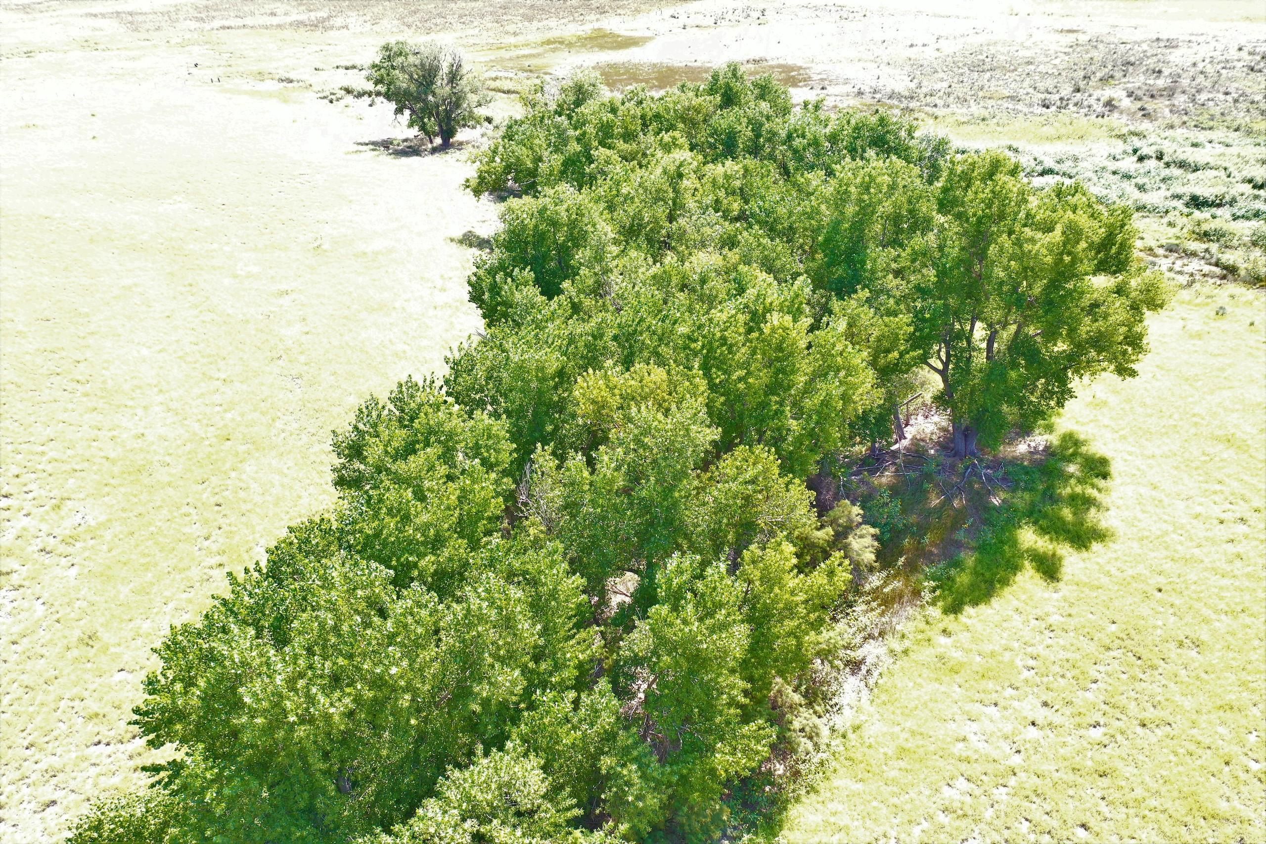 RR E20, Lot WP001, Beaver, OK 73932 LandWatch