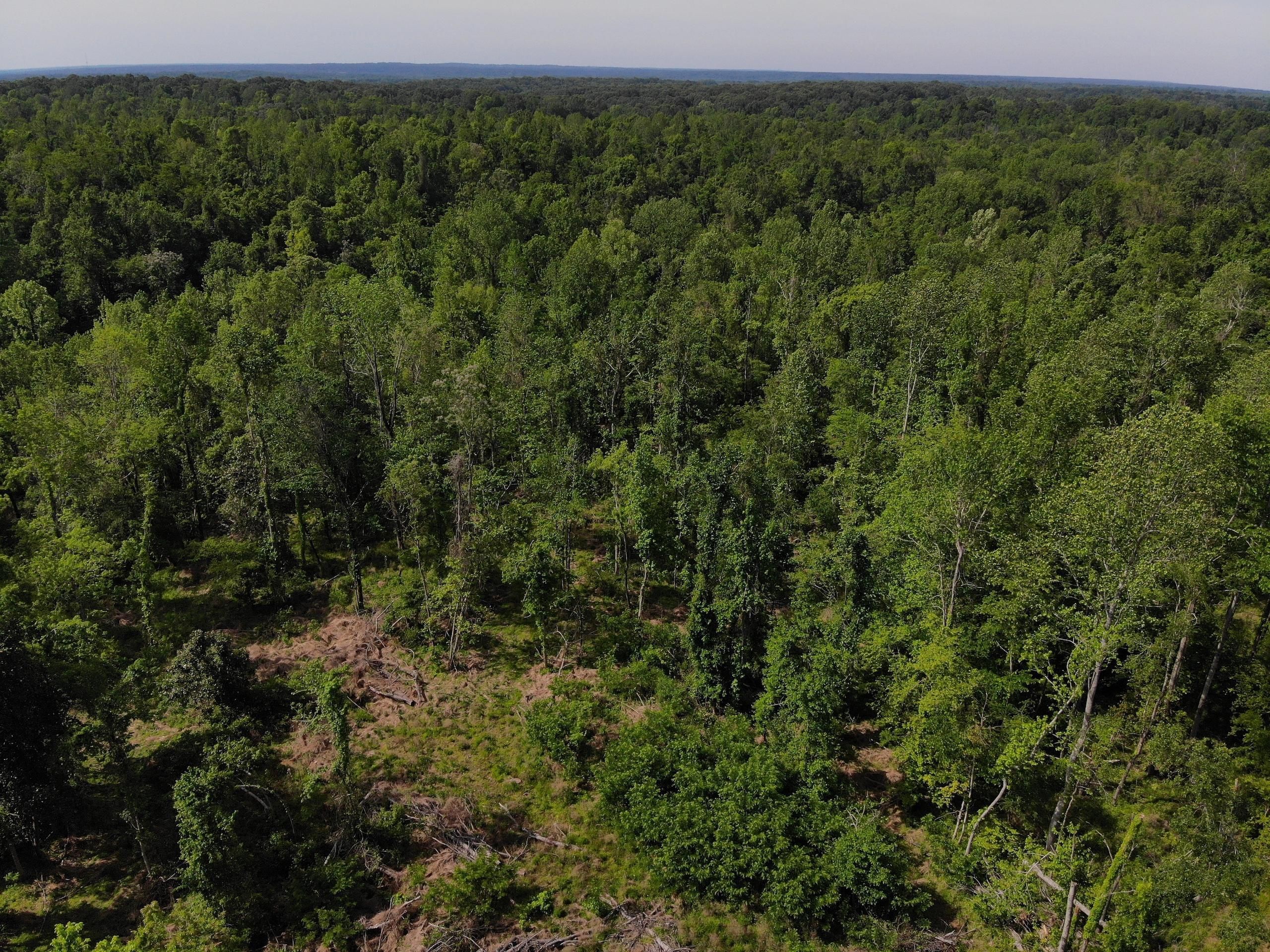 Port Gibson, Claiborne County, MS Recreational Property, Timberland