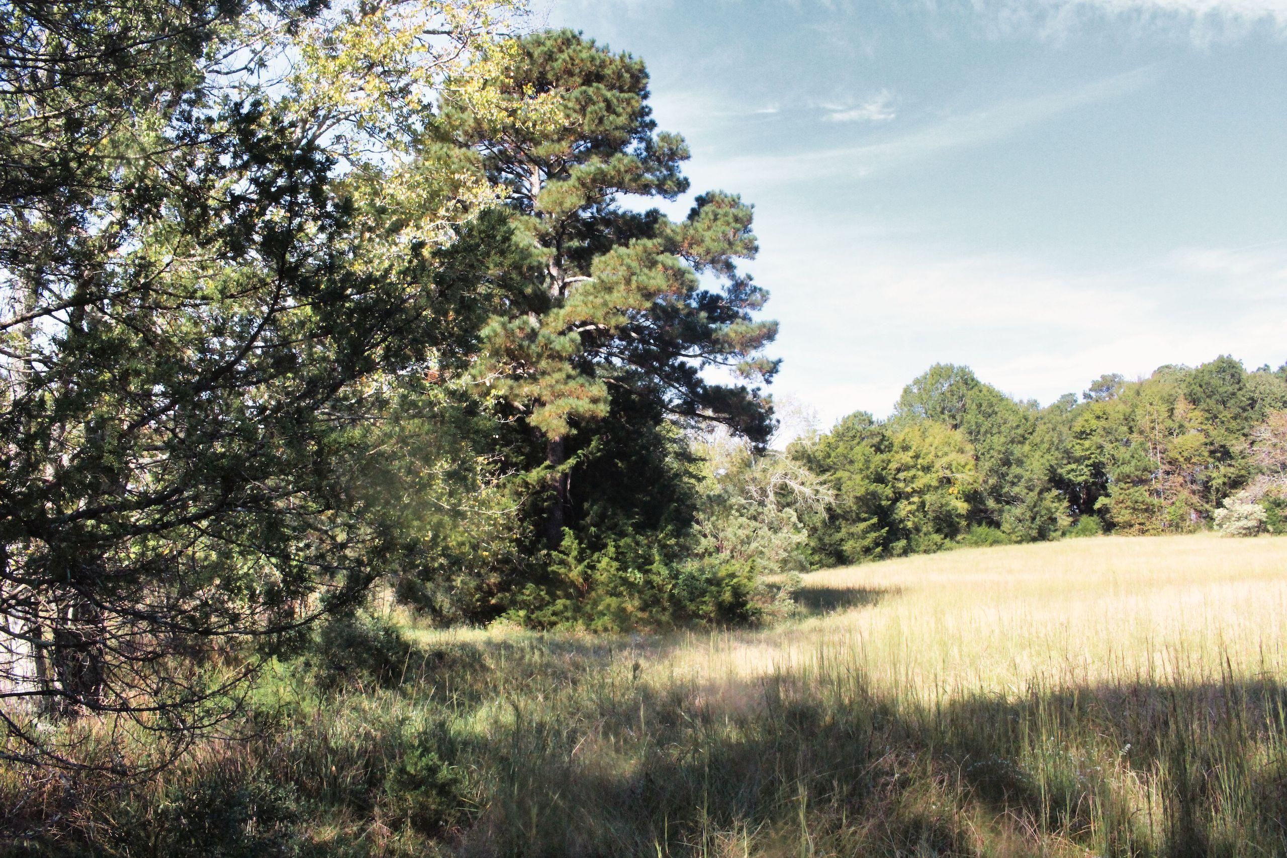 Saluda, Saluda County, SC Farms and Ranches, Recreational Property