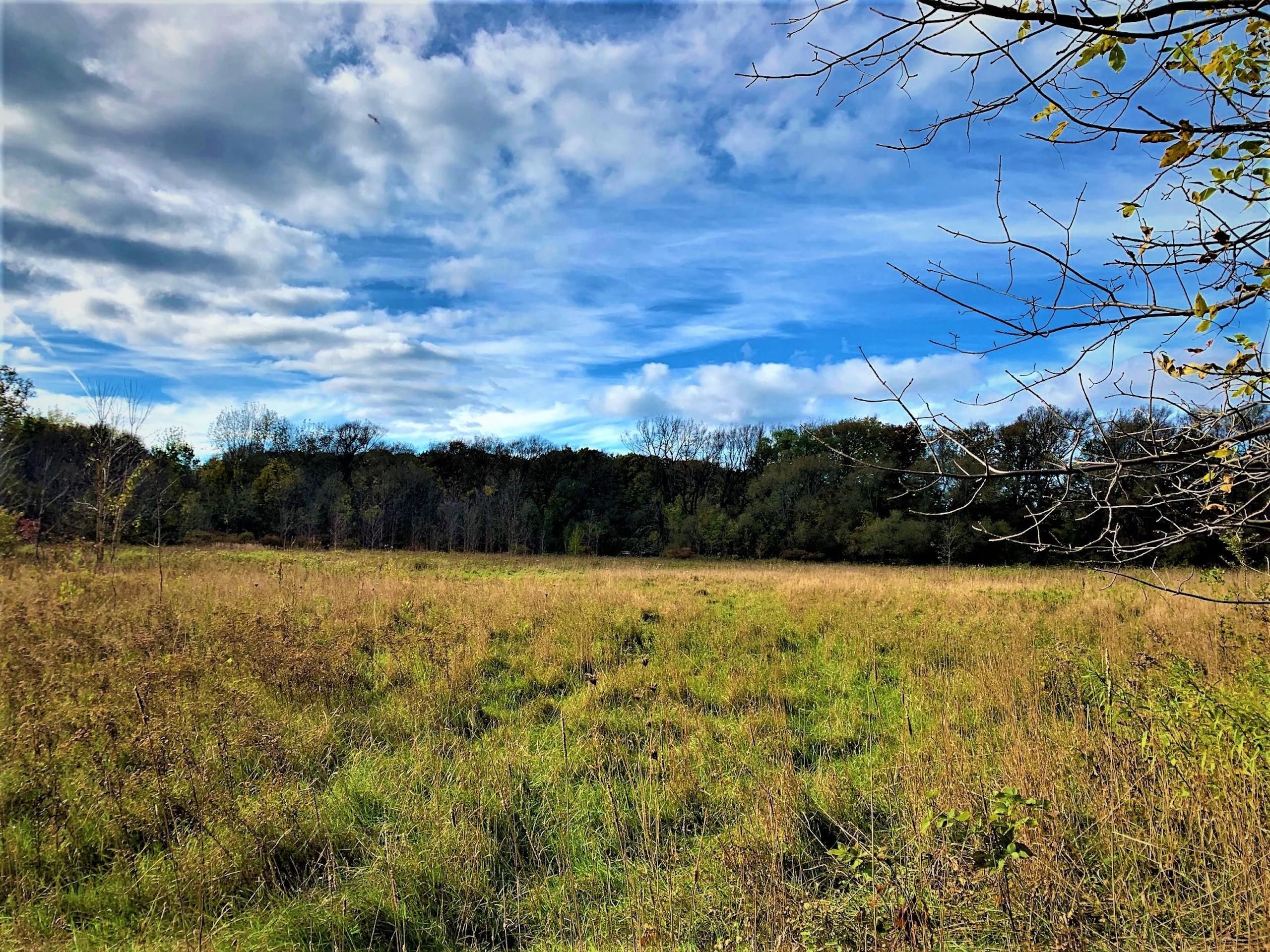 Murray, Orleans County, NY Farms and Ranches, Recreational Property