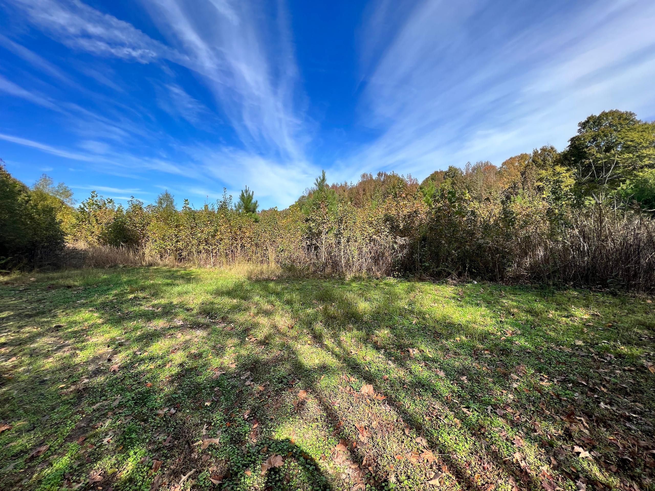 0 Center Hill Rd Lot Wp001, Olive Branch, MS 38654 LandWatch