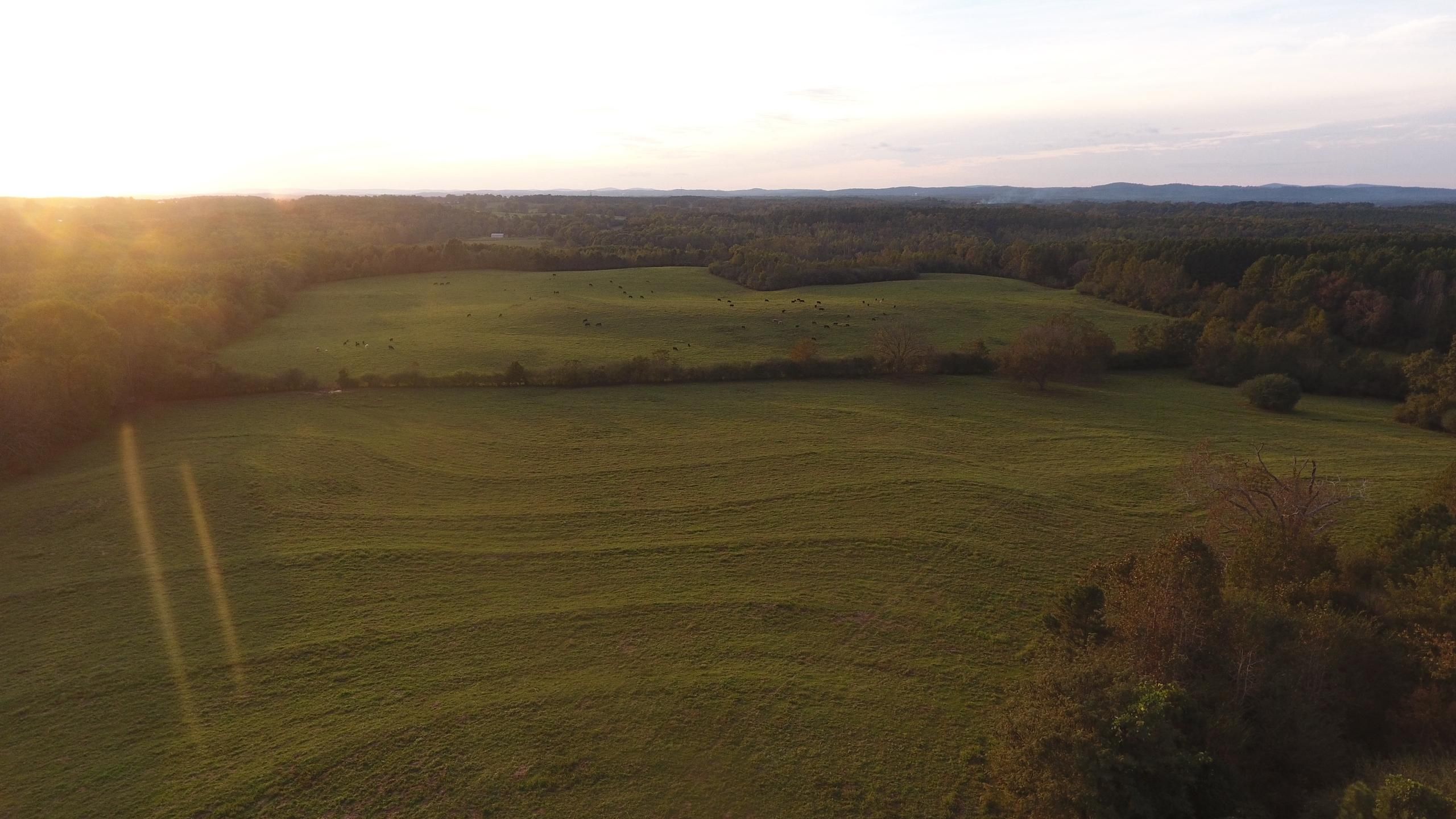 Ashland, Clay County, AL Recreational Property, Timberland Property