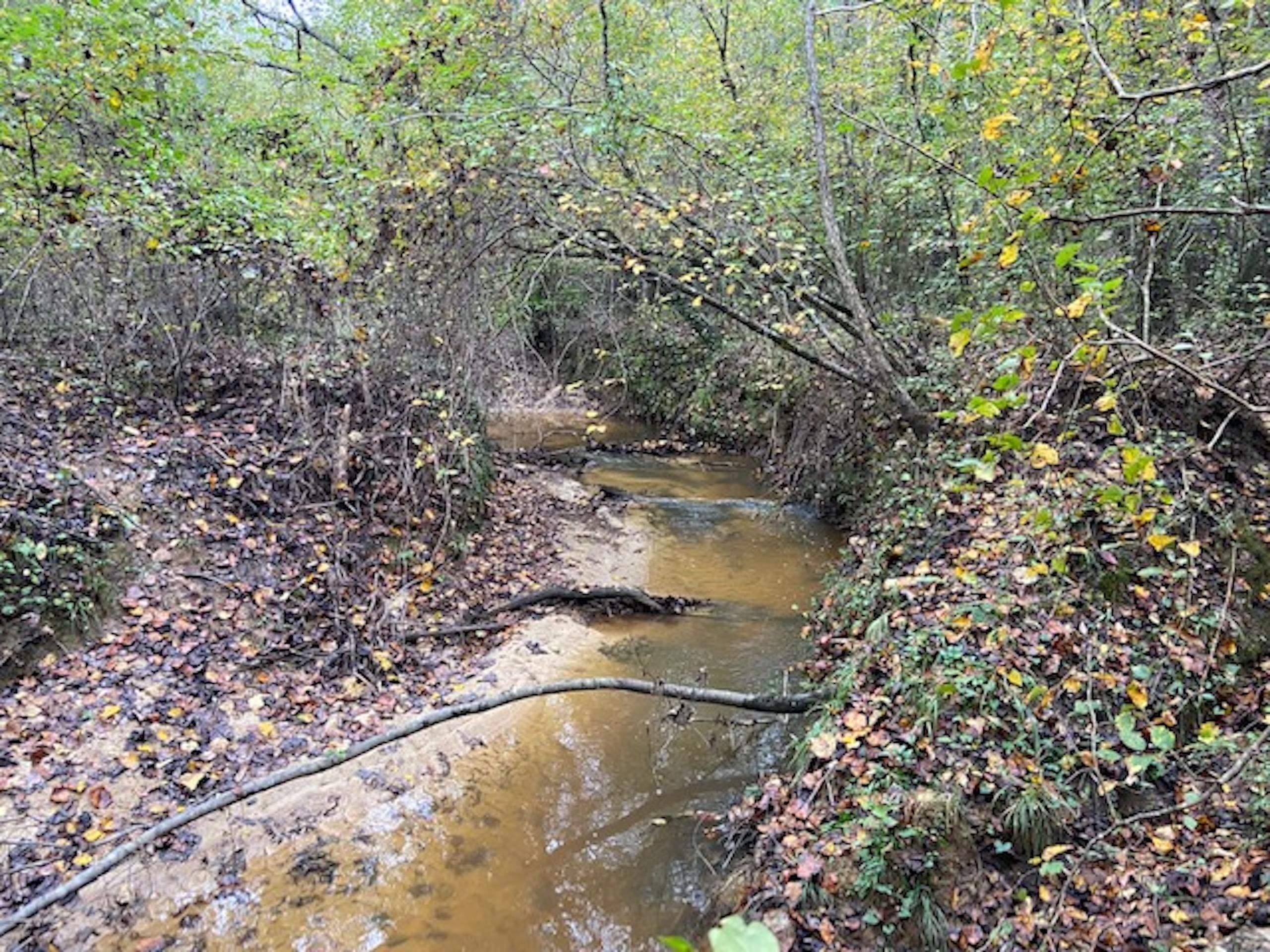 Ethel, Attala County, MS Farms and Ranches, Recreational Property