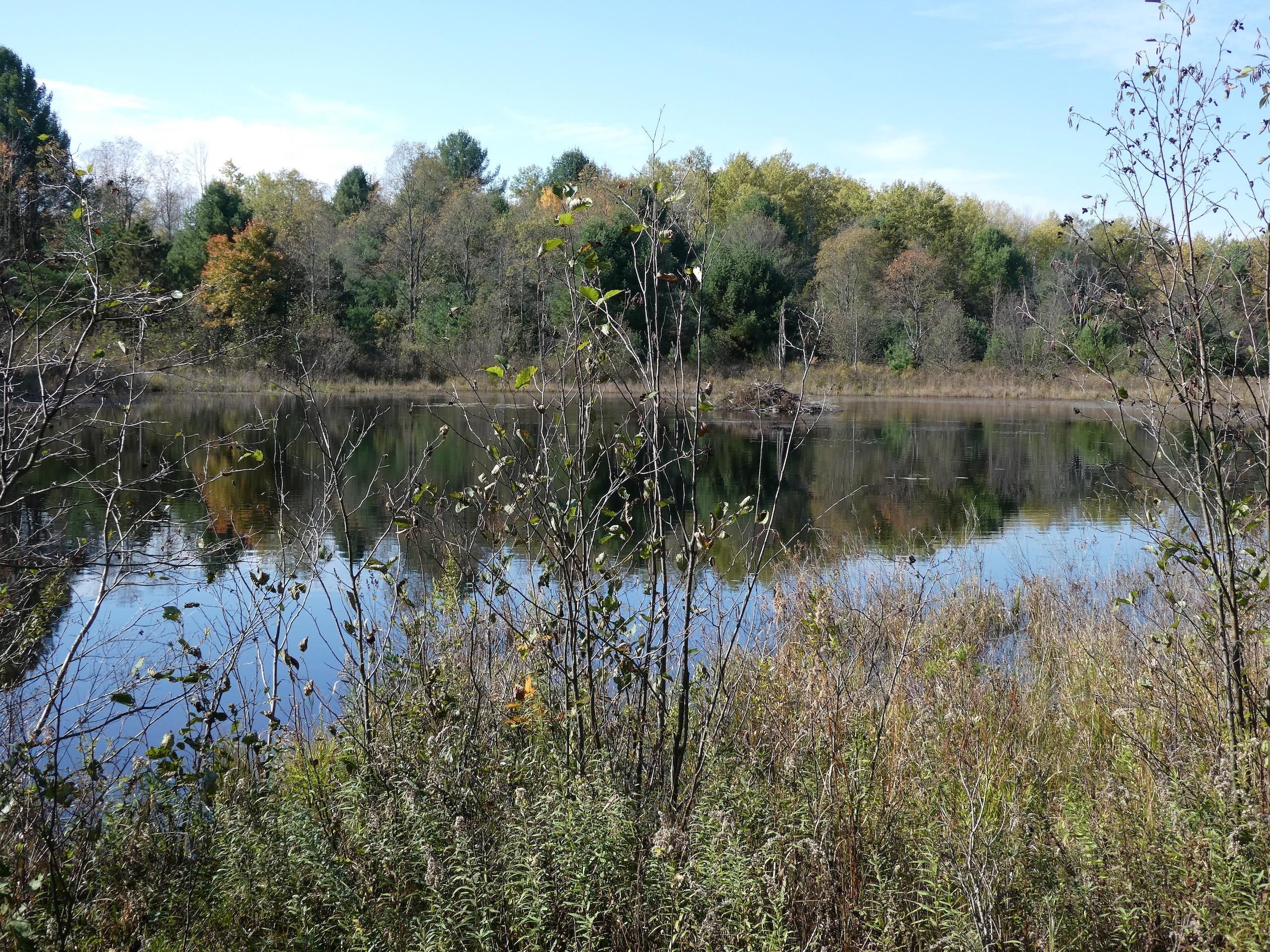 V/L 230th Ave Lot Wp001, Reed City, MI 48677 LandWatch