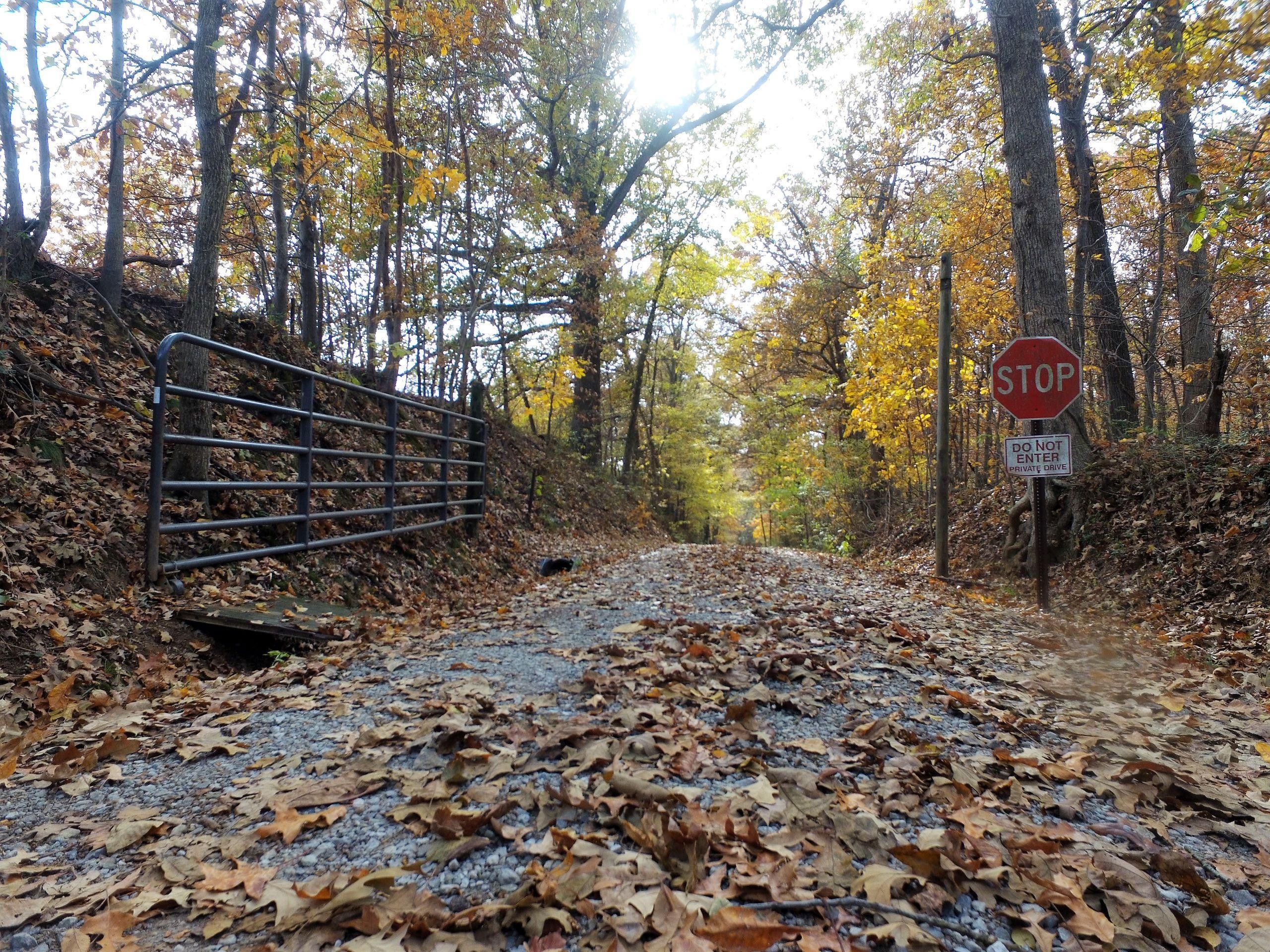 Slaughters, ster County, KY Recreational Property, Timberland