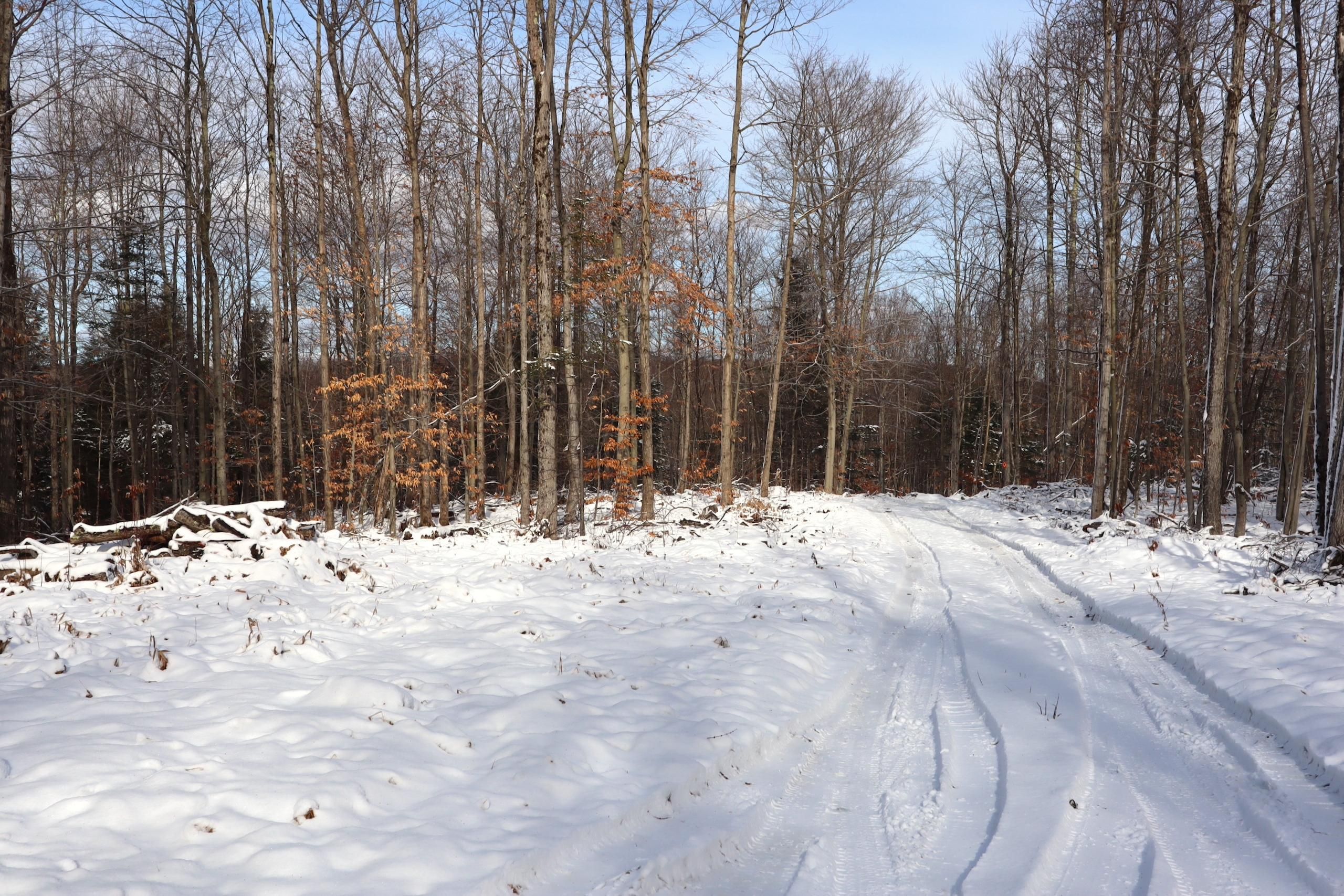 Lake Desolation, Saratoga County, NY Recreational Property, Timberland