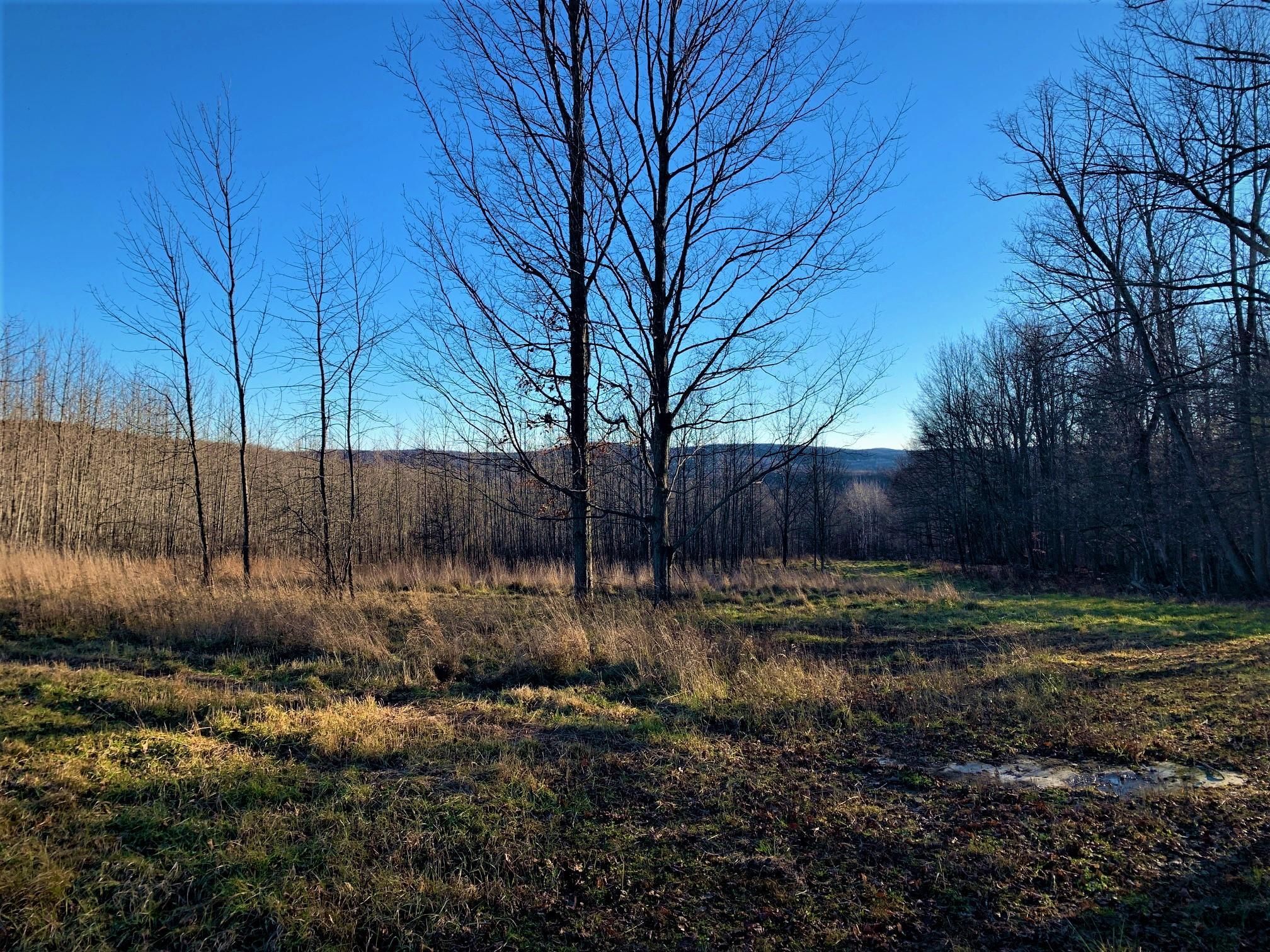 Addison, Steuben County, NY Recreational Property, Hunting Property for