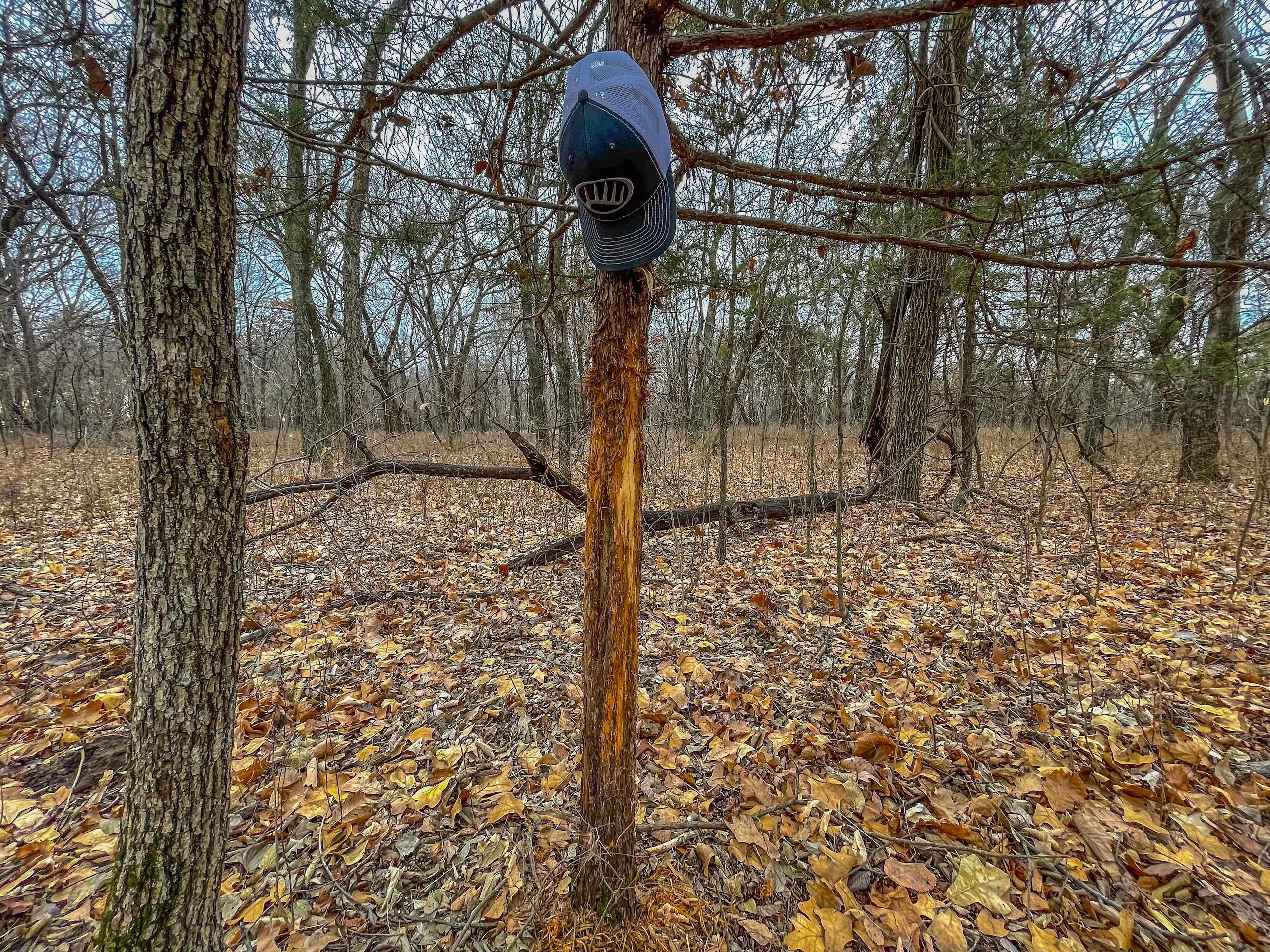 Kaw City, Kay County, OK Farms and Ranches, Hunting Property for sale