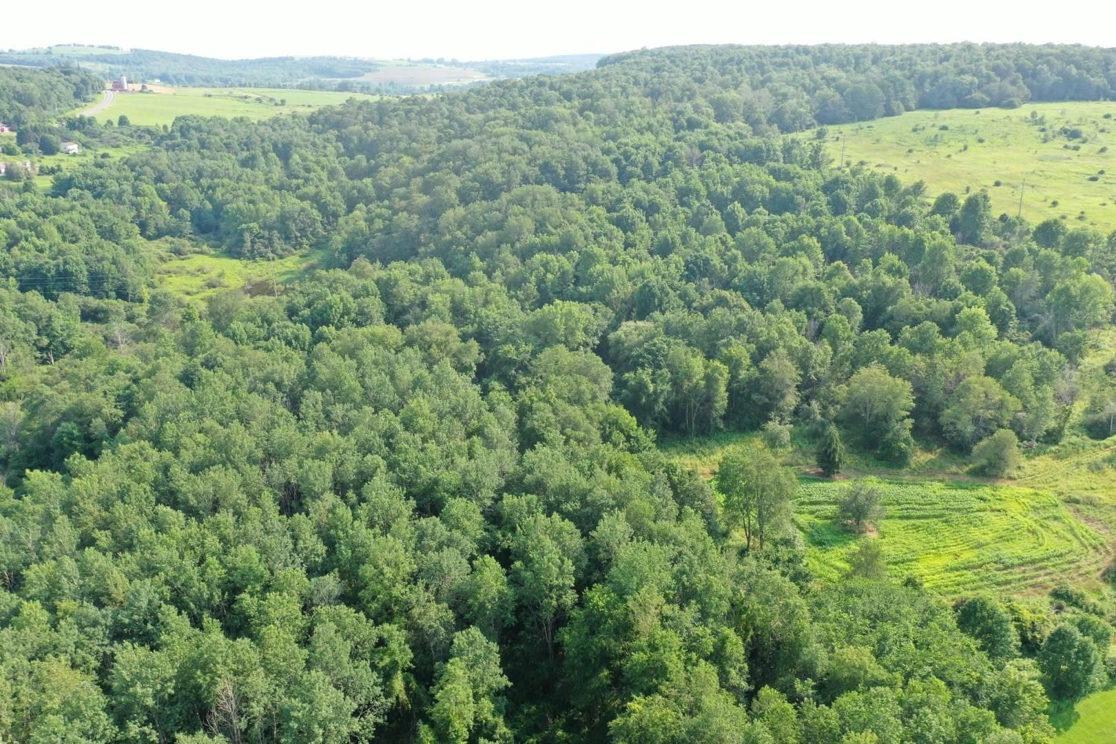Cortland, Cortland County, NY Recreational Property, Timberland