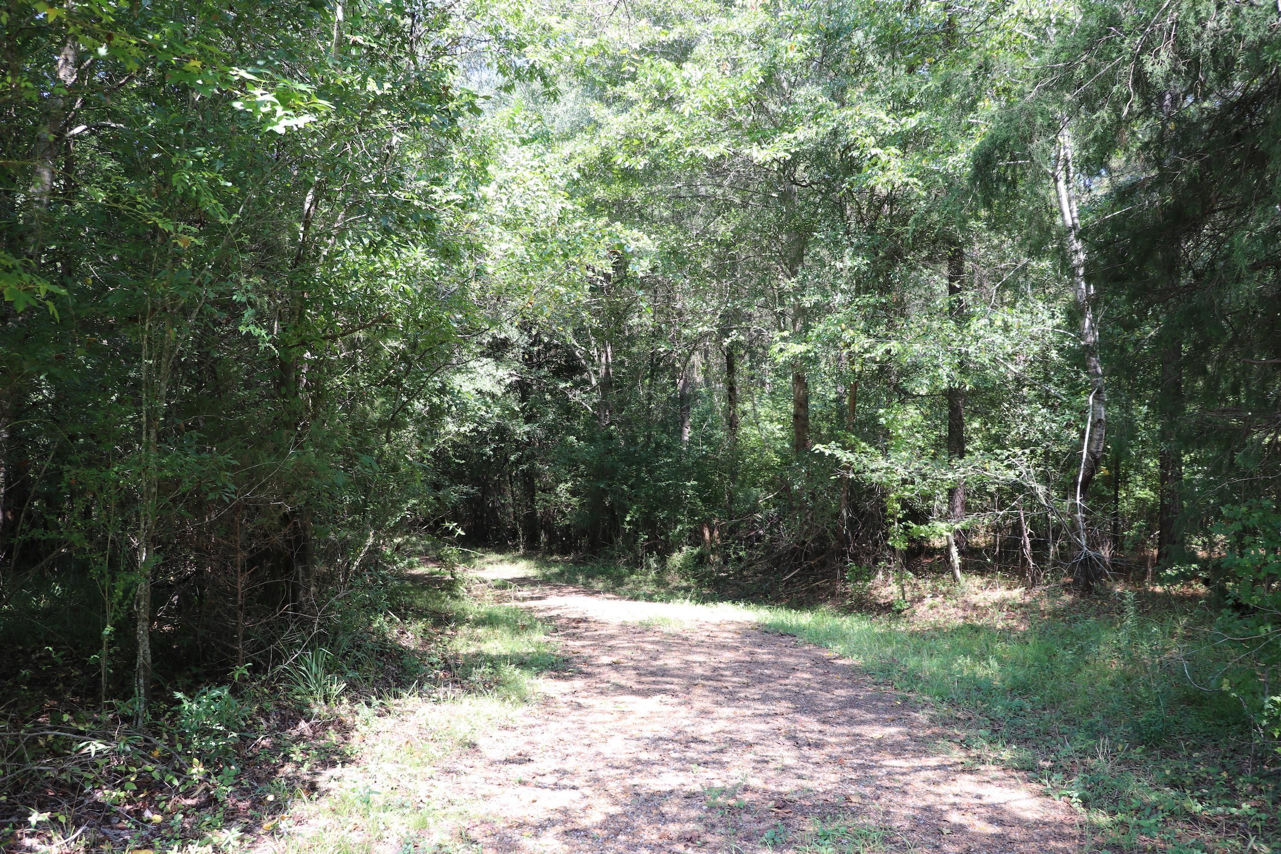 Duck Hill, Montgomery County, MS Recreational Property, Timberland Property, Hunting Property