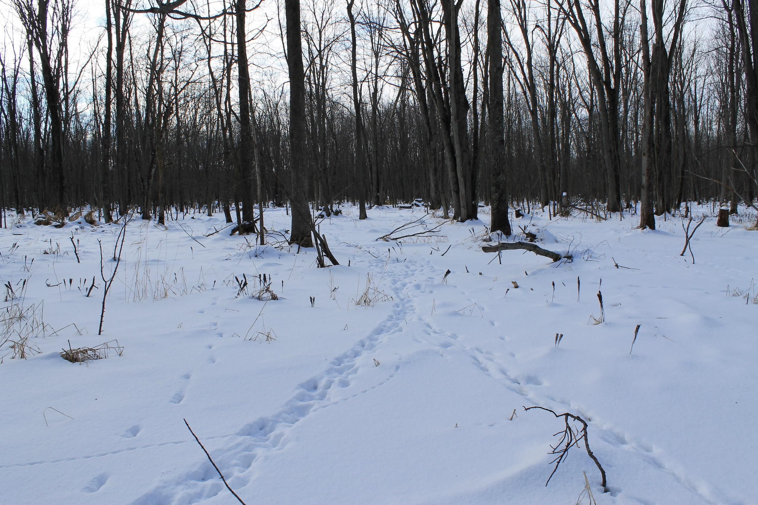 Pheasant Road, LotWP001, Algoma, WI 54201 LandWatch