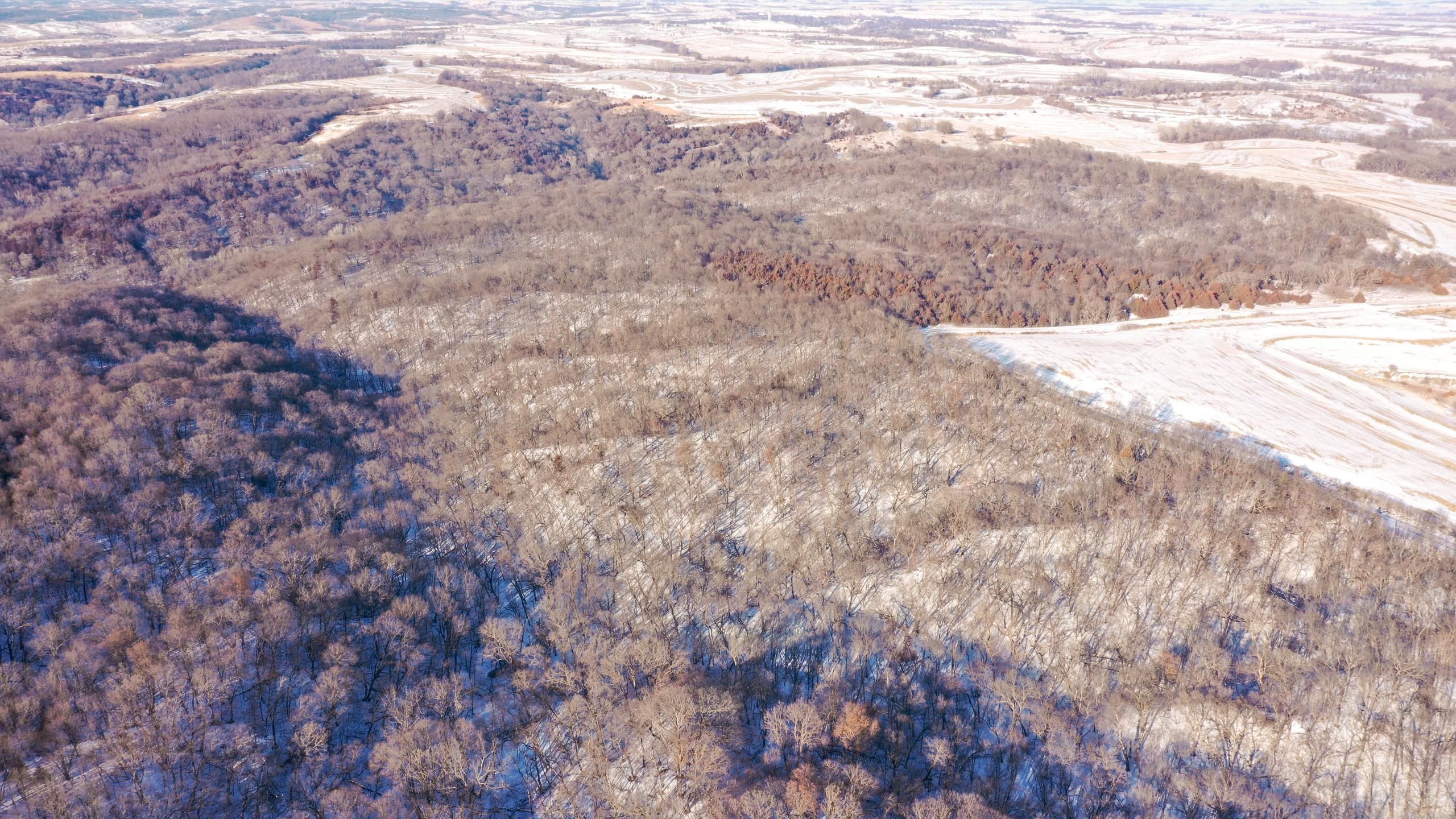 Hamburg, Fremont County, IA Recreational Property, Hunting Property for