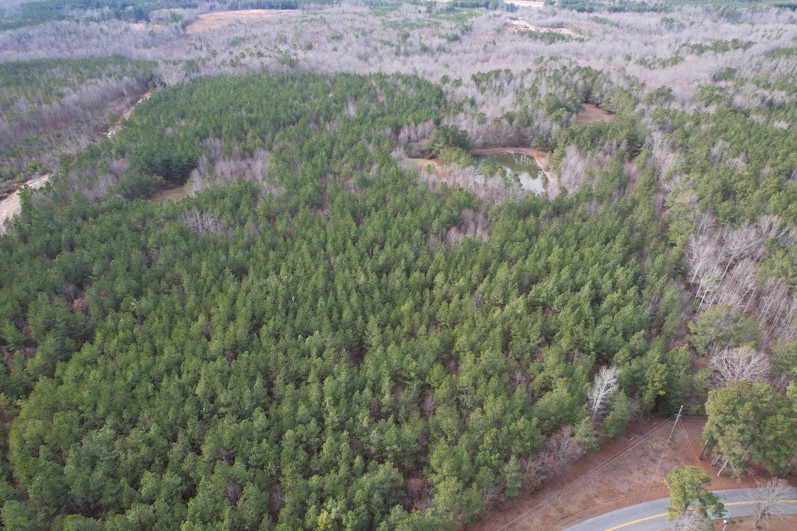 Alberta, Brunswick County, VA Recreational Property, Timberland Property, Hunting Property for