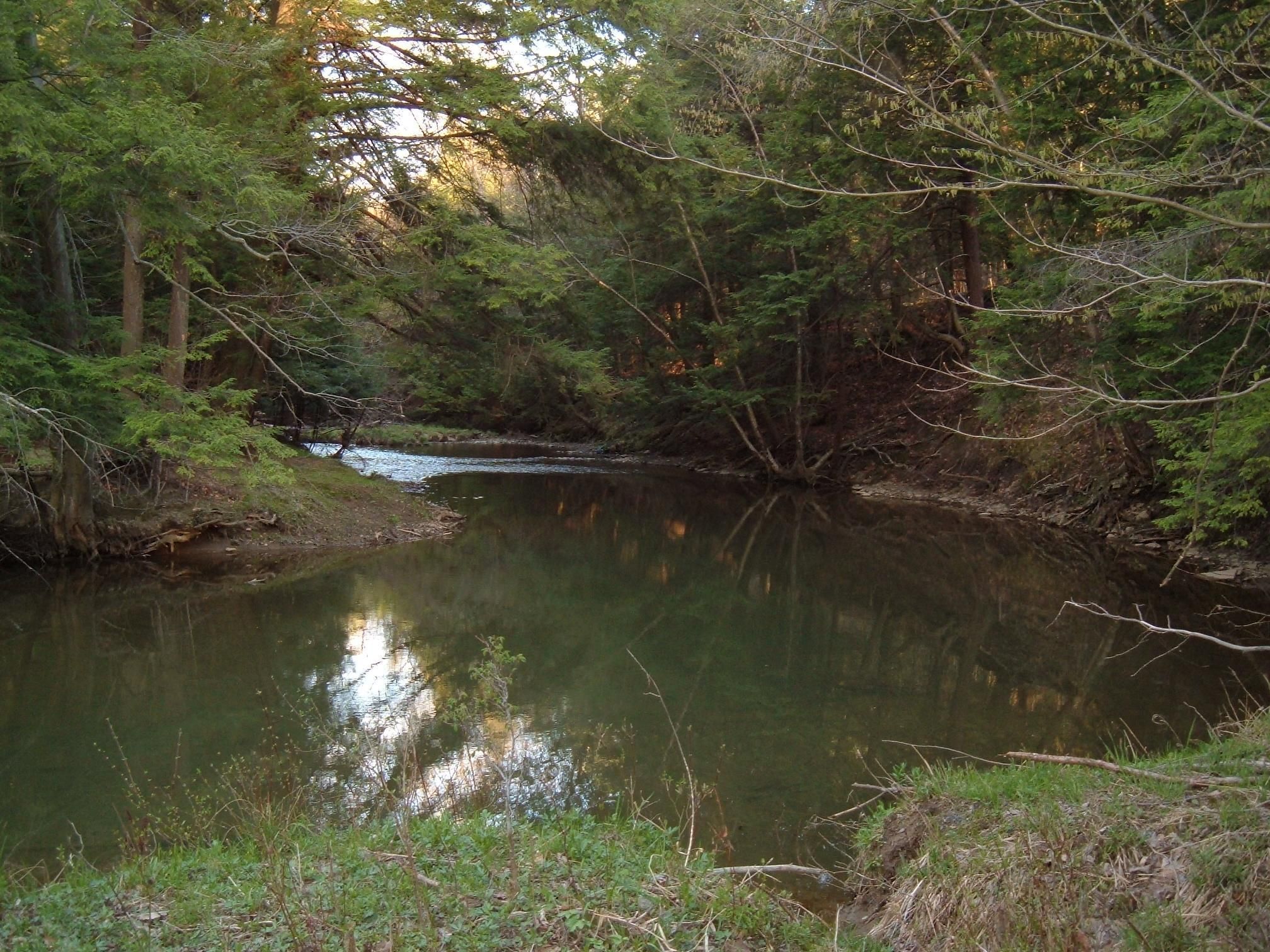 Curwensville, Clearfield County, PA Recreational Property, Hunting