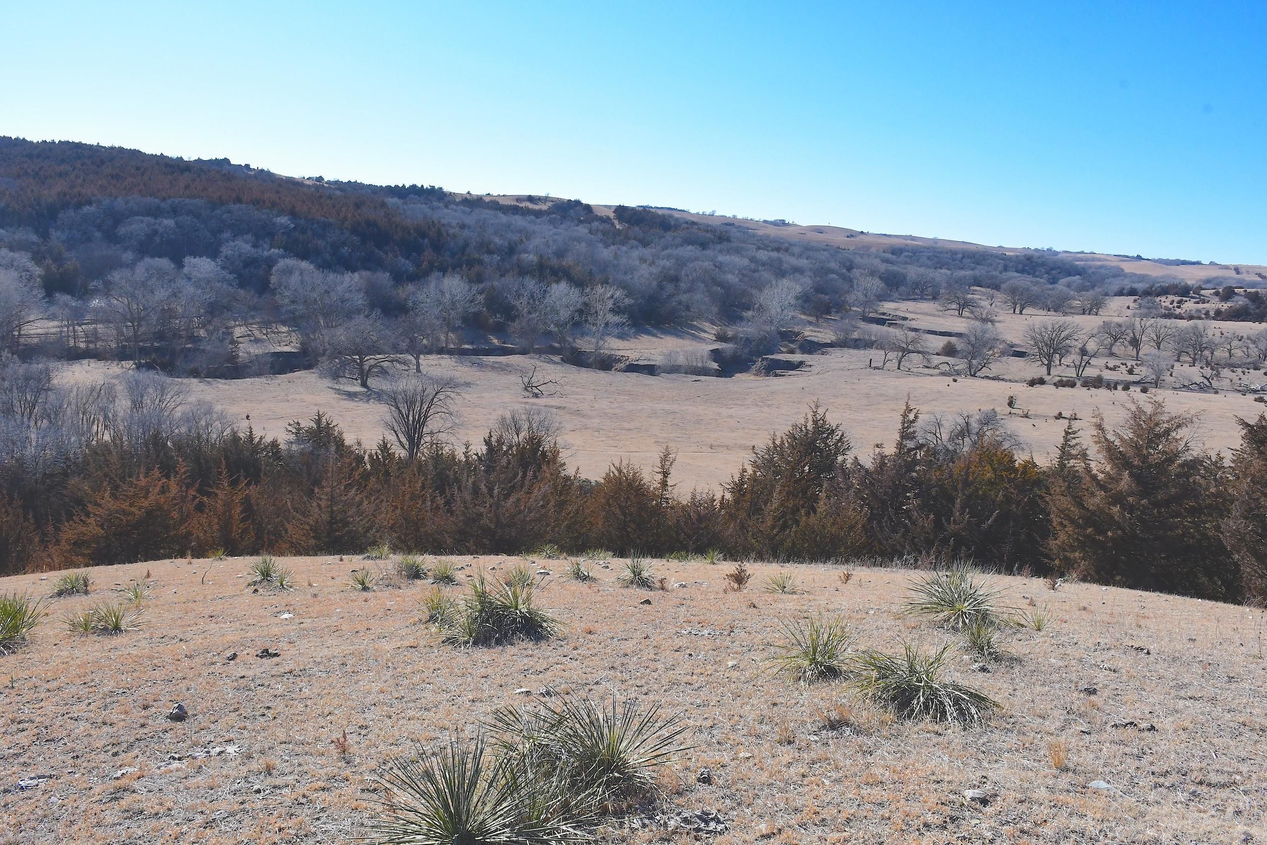 Crofton, Knox County, NE Recreational Property, Hunting Property for