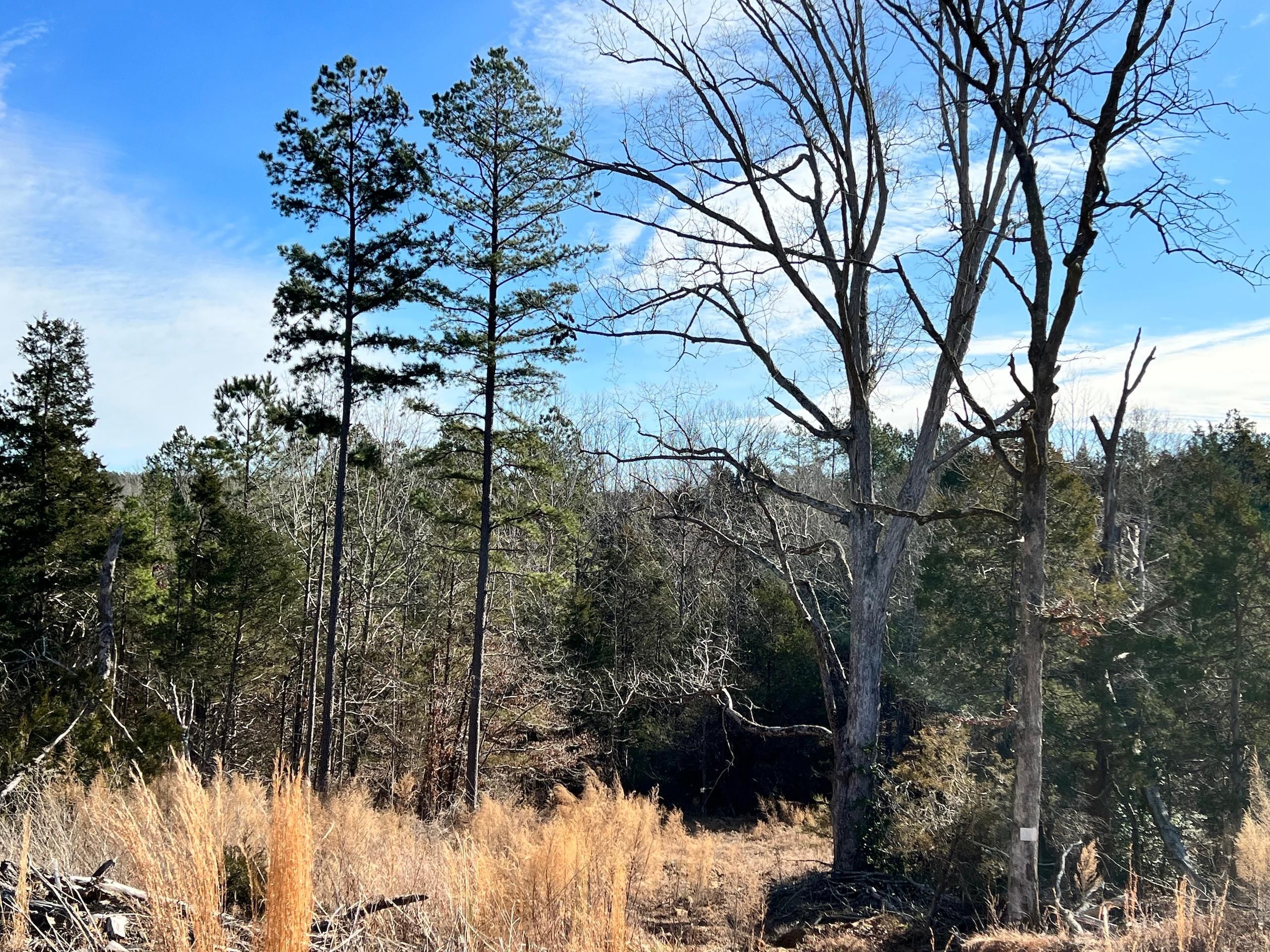 Pinson, Madison County, TN Recreational Property, Timberland Property