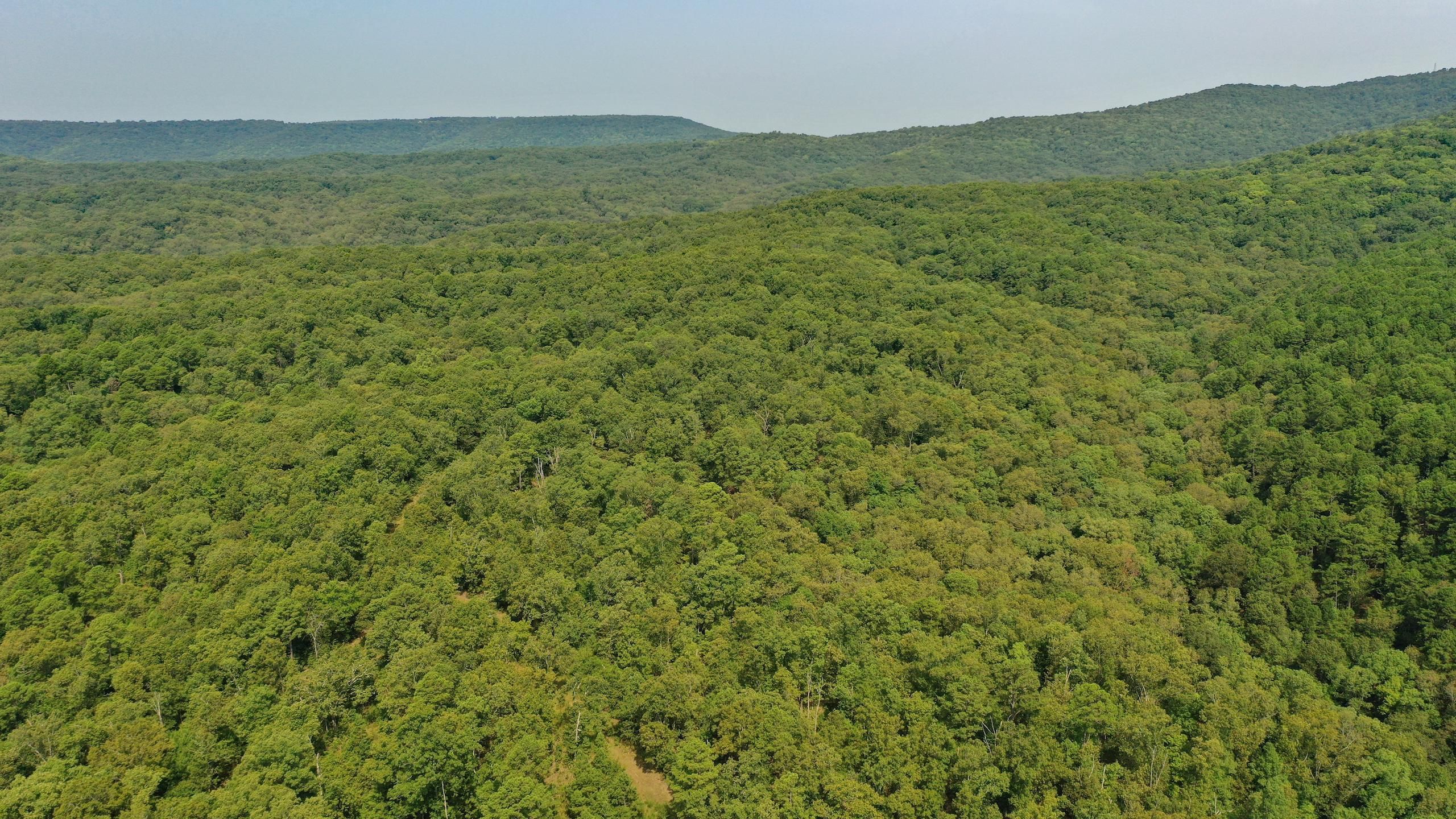 Bunch, Adair County, OK Recreational Property, Timberland Property