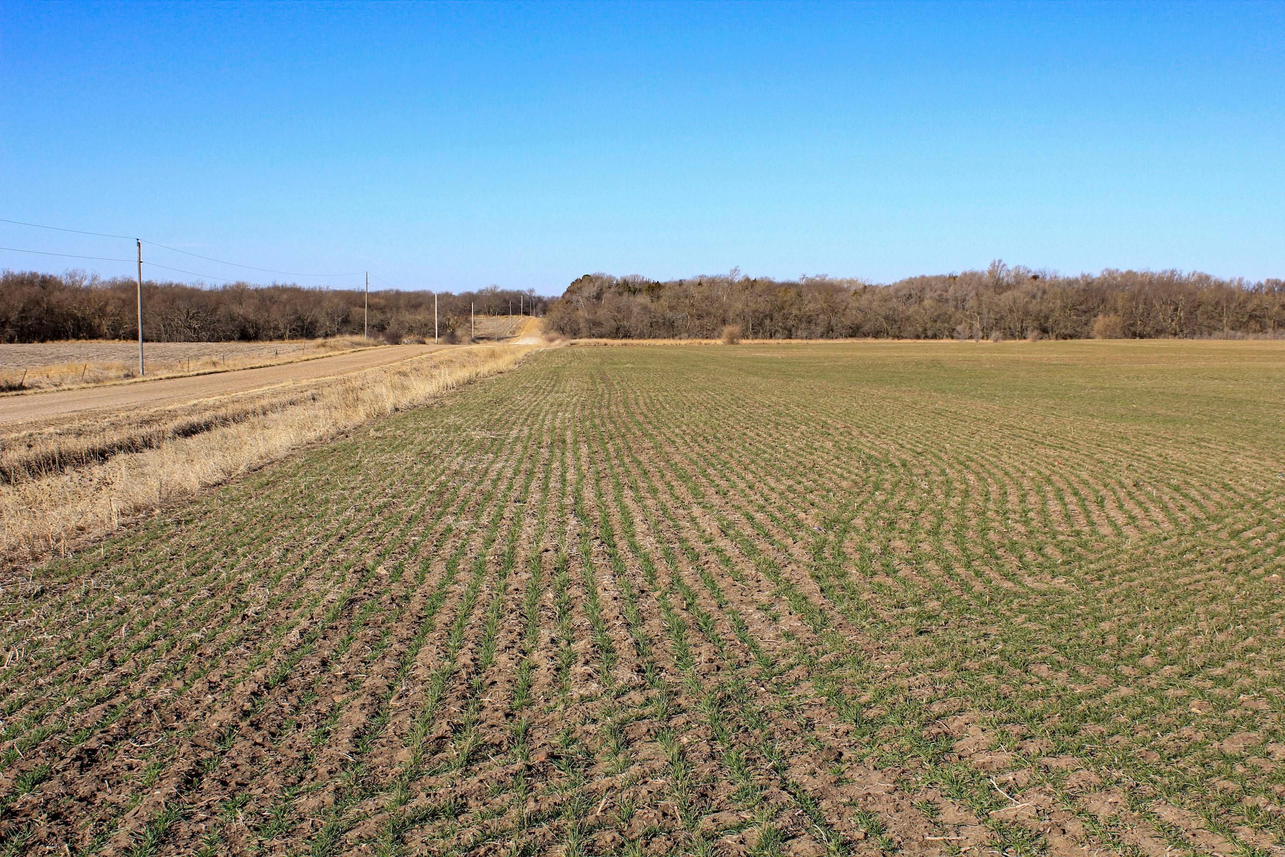 Glasco, Cloud County, KS Farms and Ranches, Hunting Property for sale