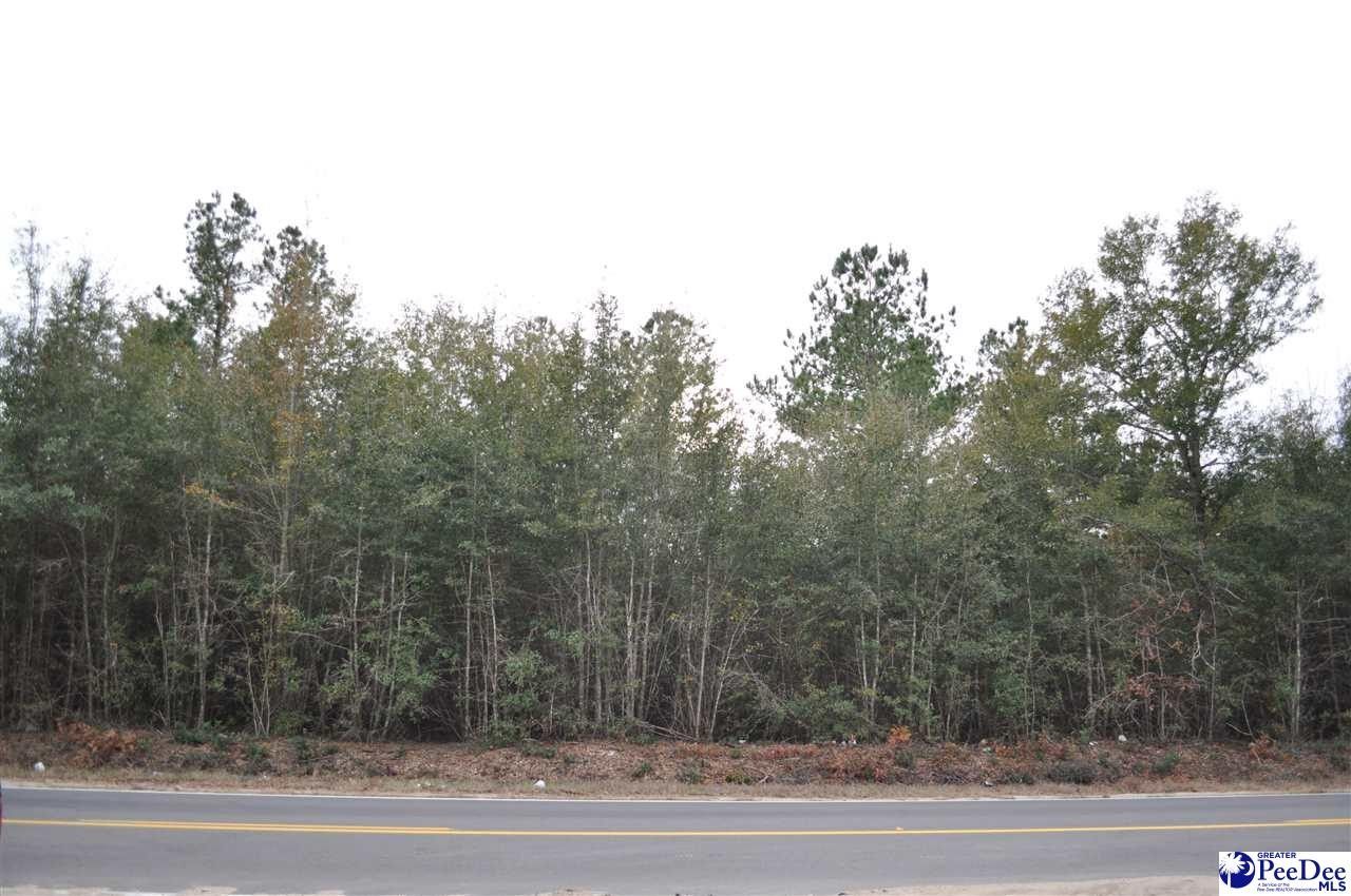 Brittons Neck, Marion County, SC Undeveloped Land, Homesites for sale