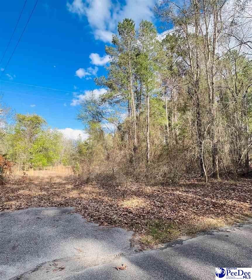 Latta, Dillon County, SC Undeveloped Land for sale Property ID