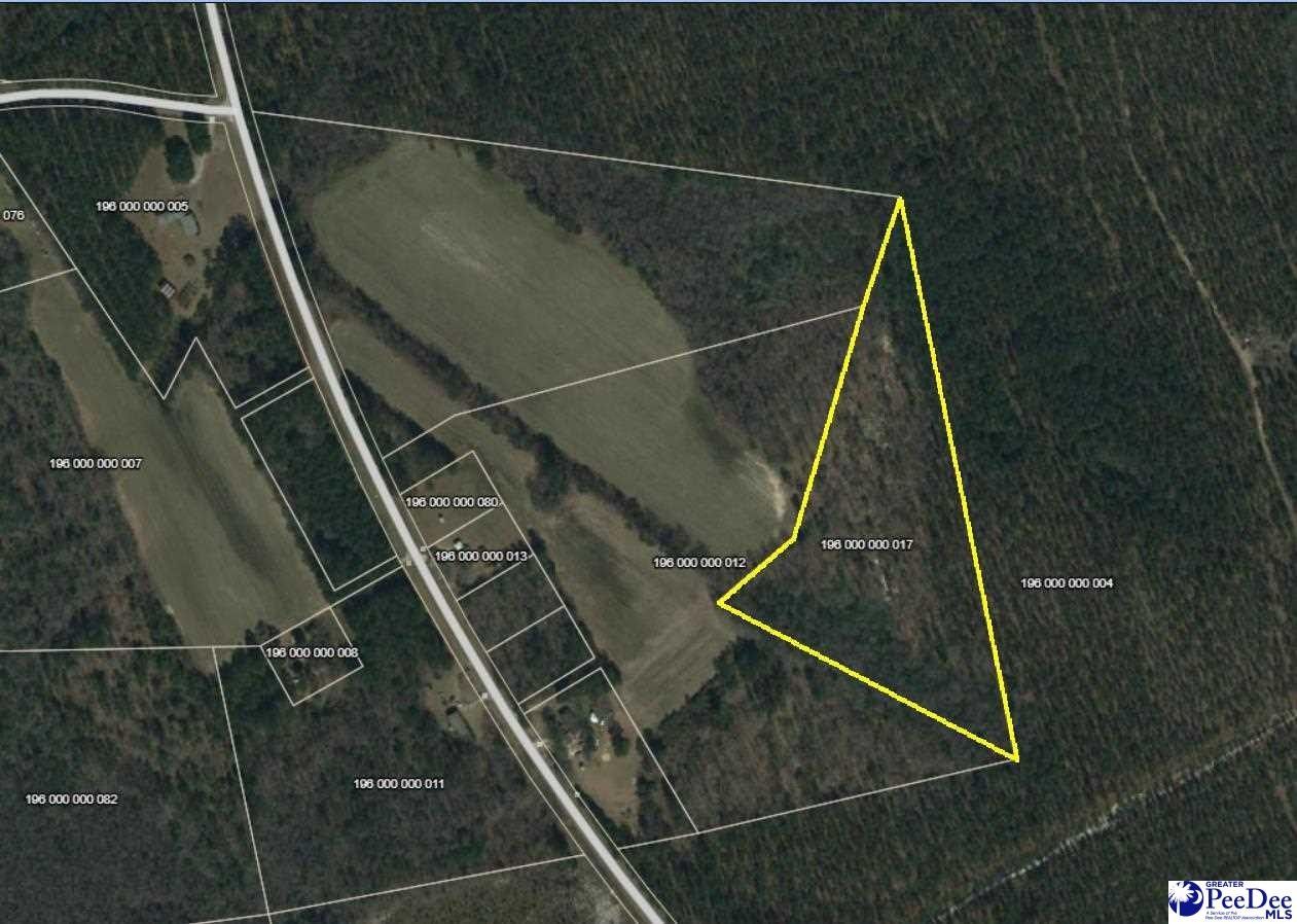 Patrick, Chesterfield County, SC Farms and Ranches for sale Property ID