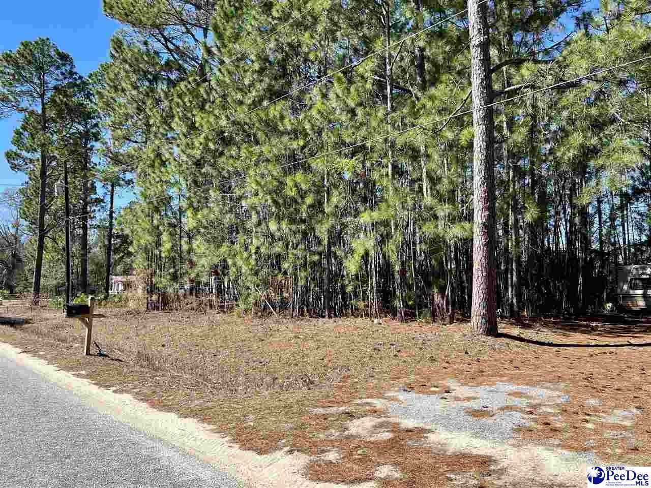 Dillon, Dillon County, SC Undeveloped Land, Homesites for sale Property