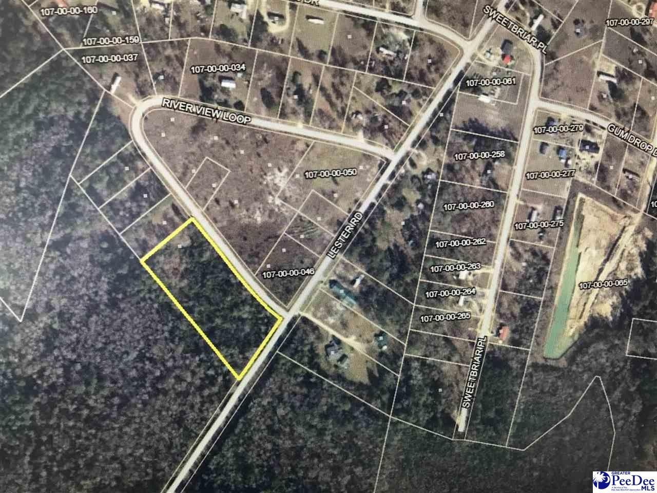 Dillon, Dillon County, SC Undeveloped Land, Homesites for sale Property