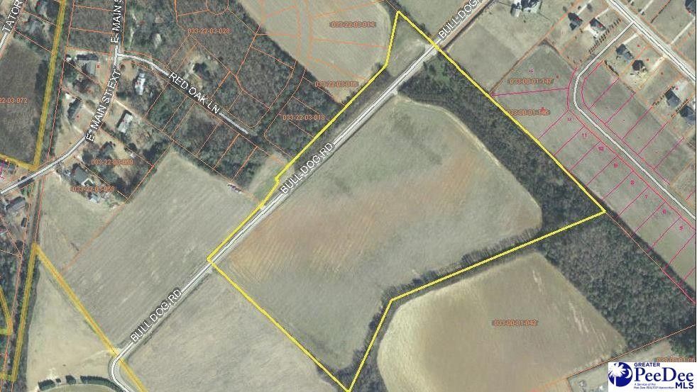 Marlboro County, SC Undeveloped Land for sale Property