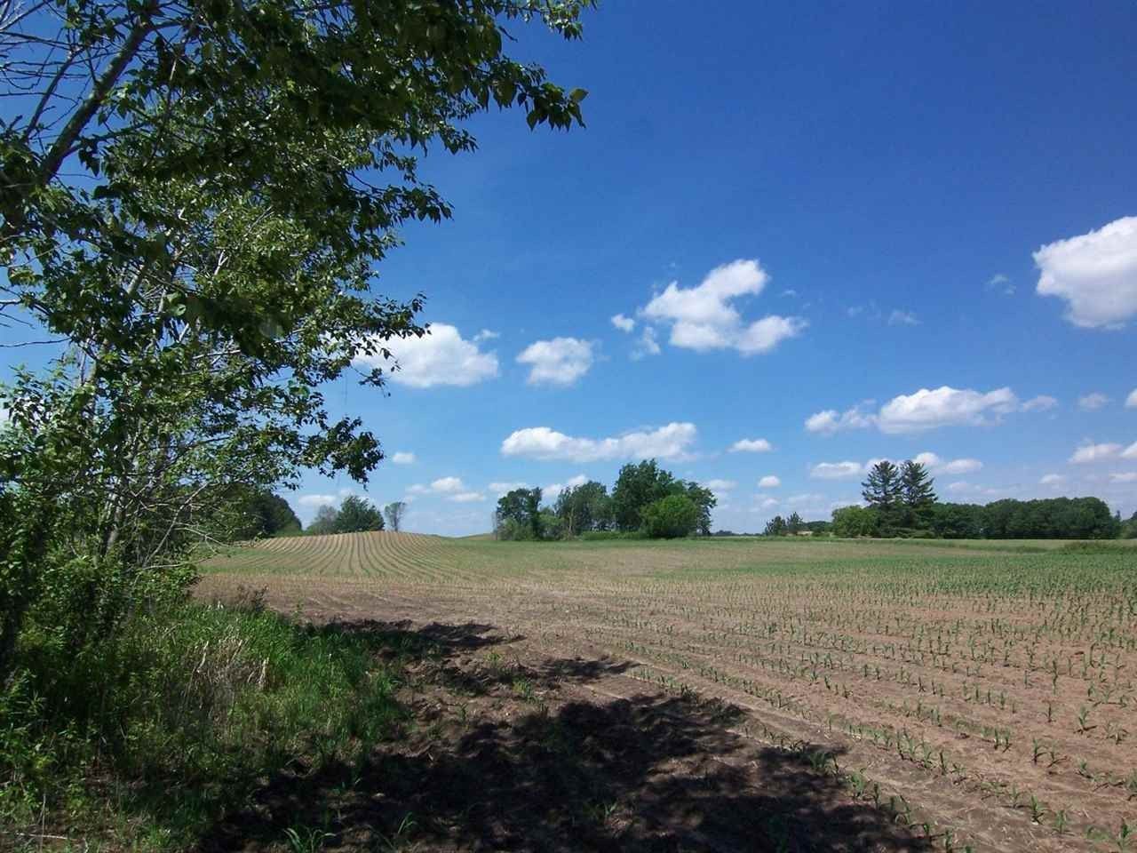 Pound, Oconto County, WI Undeveloped Land for sale Property ID