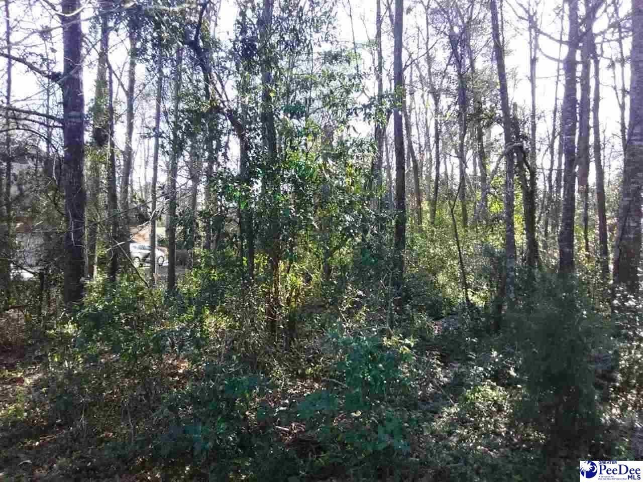 TBD Ruby Rd, Hartsville, SC 29550 MLS 20203526 LandWatch