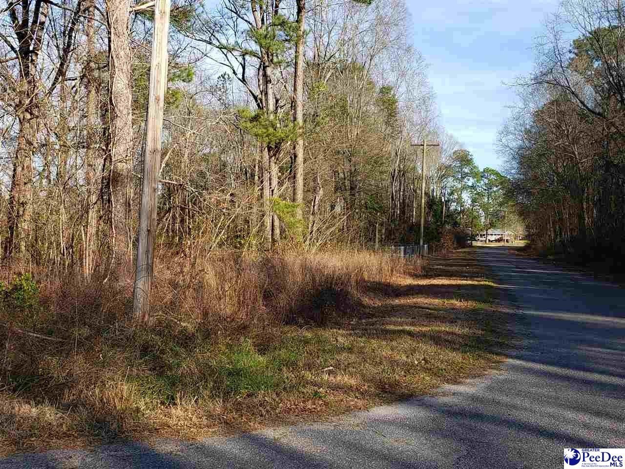 Marlboro County, SC Undeveloped Land, Homesites for sale