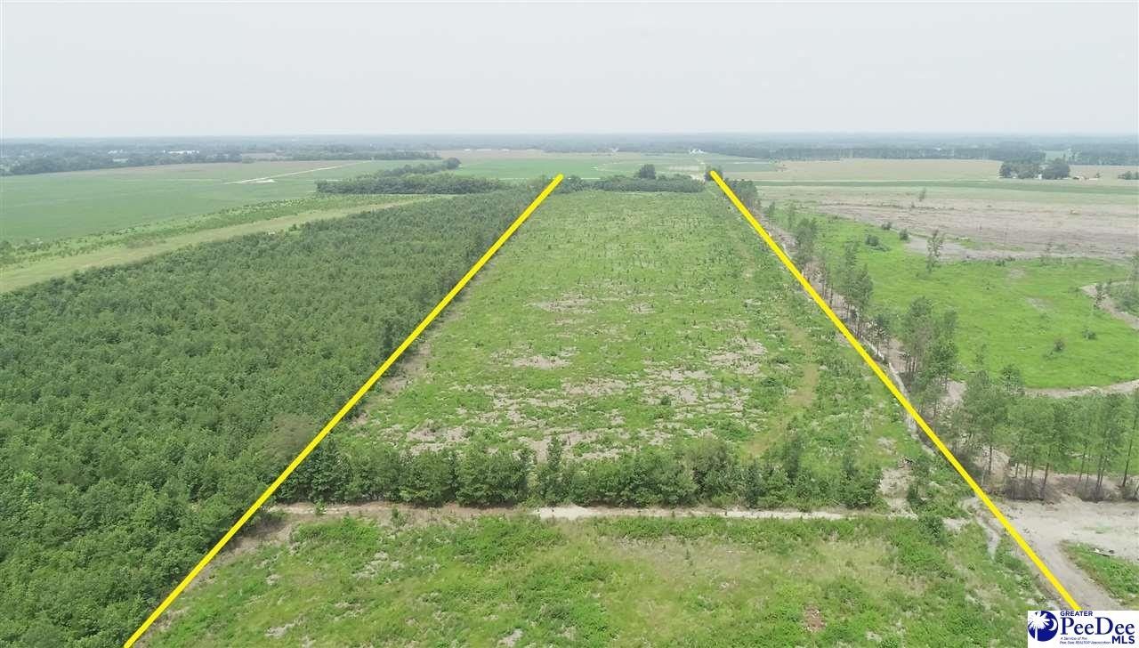 Marlboro County, SC Undeveloped Land for sale Property