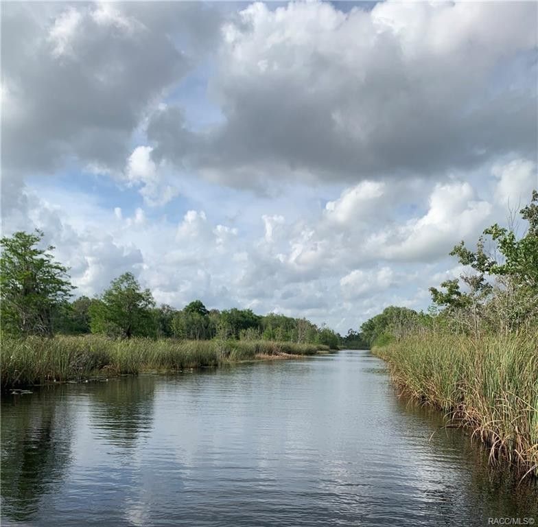Inverness, Citrus County, FL Undeveloped Land, Lakefront Property
