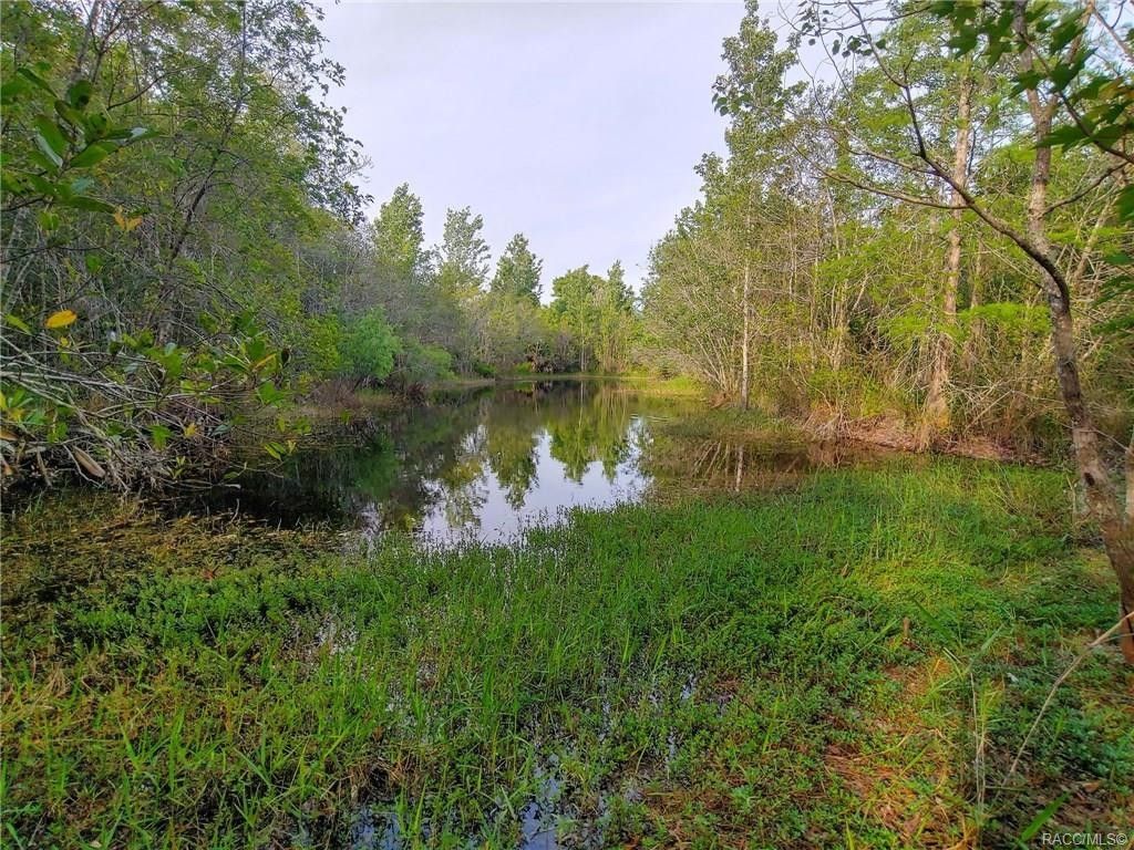 Crystal River, Citrus County, FL Undeveloped Land, Homesites for sale Property ID 334384133
