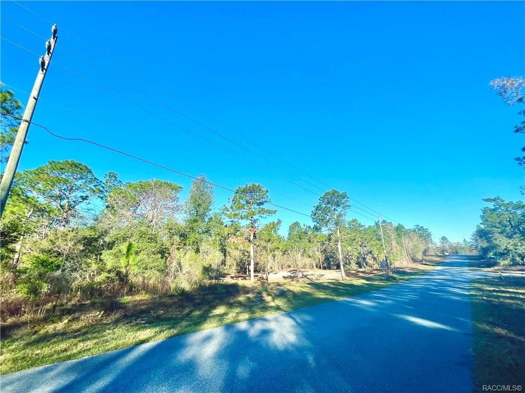 Citrus Springs, Citrus County, FL Undeveloped Land, Homesites for sale