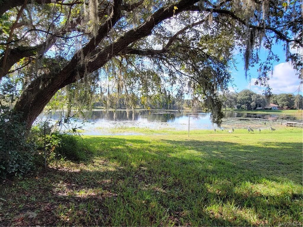Inverness, Citrus County, FL Undeveloped Land, Lakefront Property