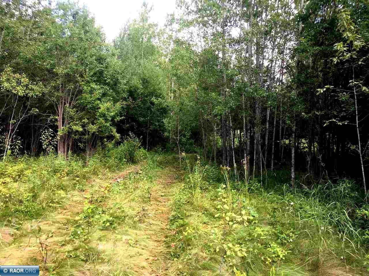 Cook, Saint Louis County, MN Undeveloped Land for sale Property ID