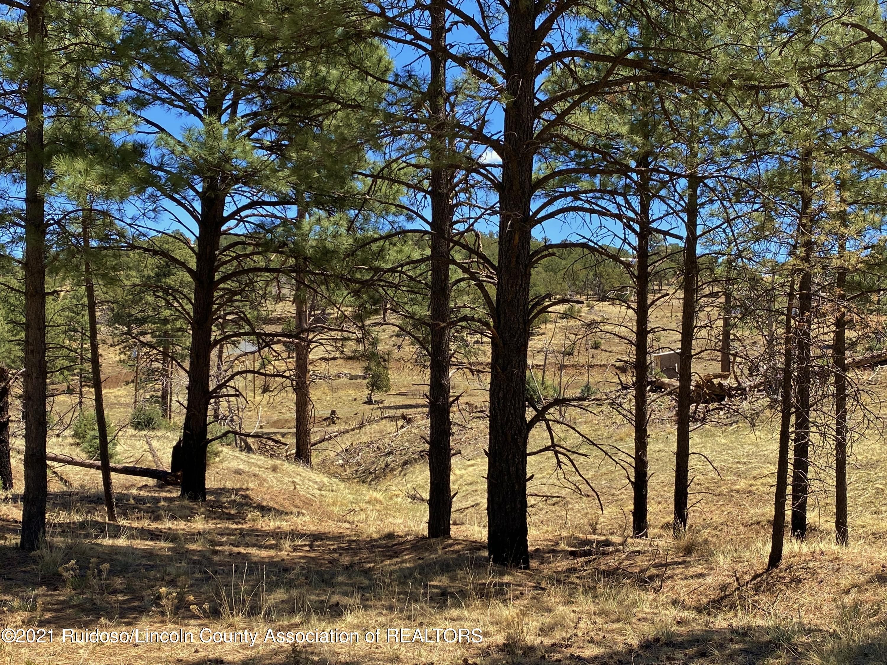 Nogal, Lincoln County, NM Undeveloped Land for sale Property ID