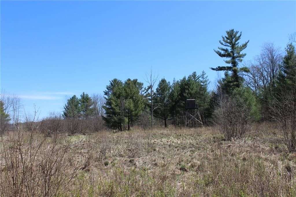 Neillsville, Clark County, WI Undeveloped Land, Lakefront Property